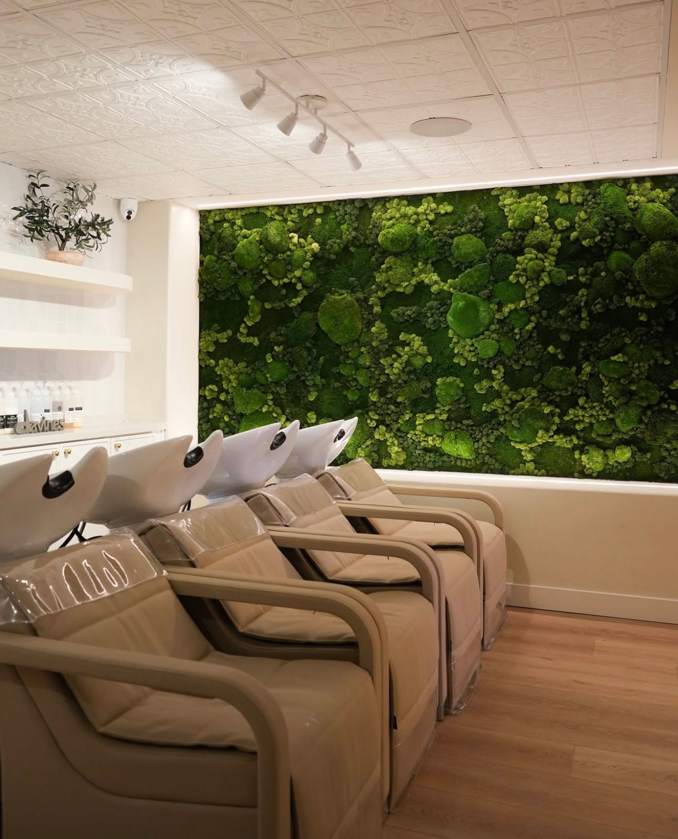 Sherri Floquet — Salon Decor ONESHOT Hair Awards entry