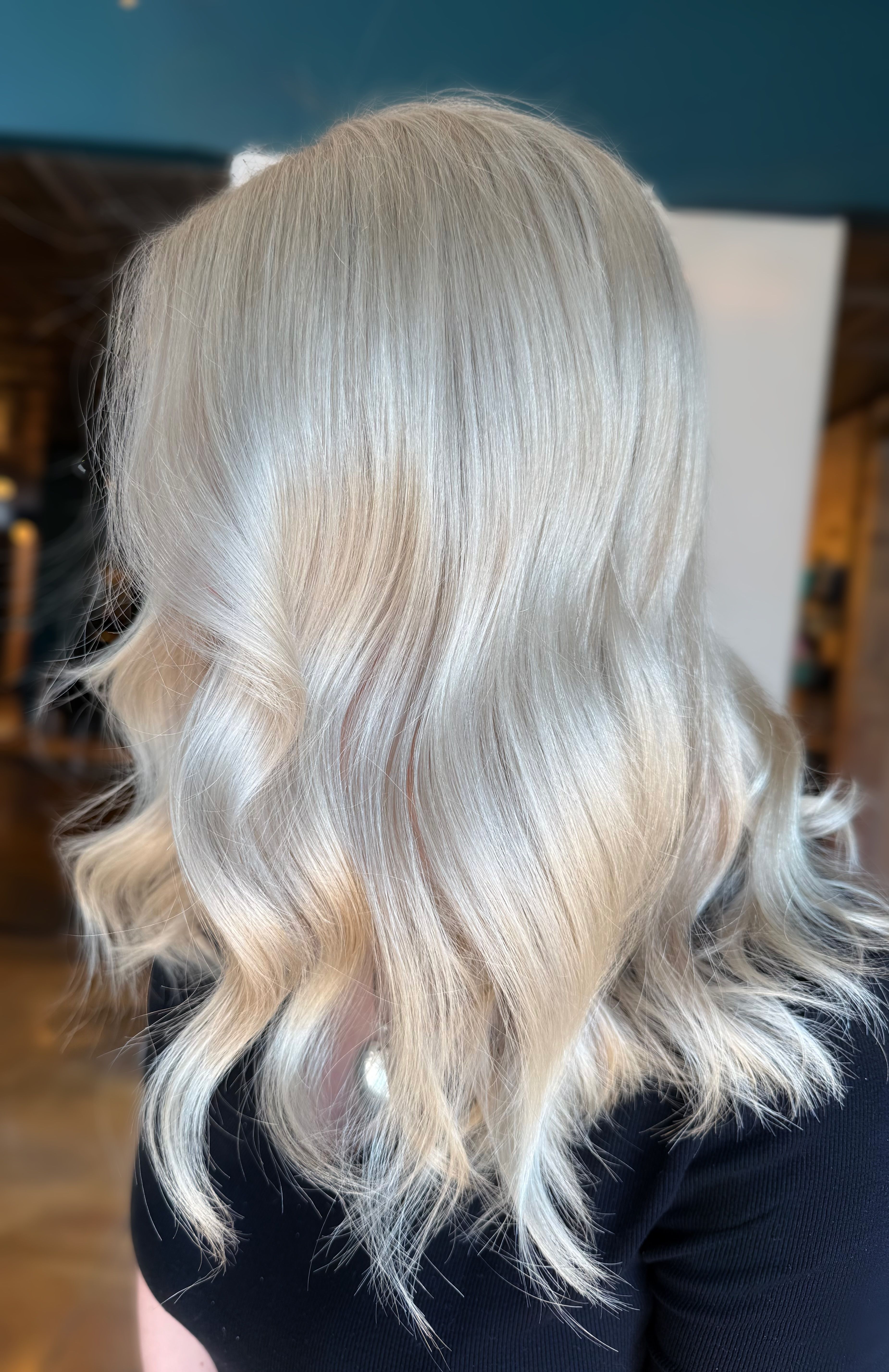 Sheridan Holyoak — Platinum ONESHOT Hair Awards entry
