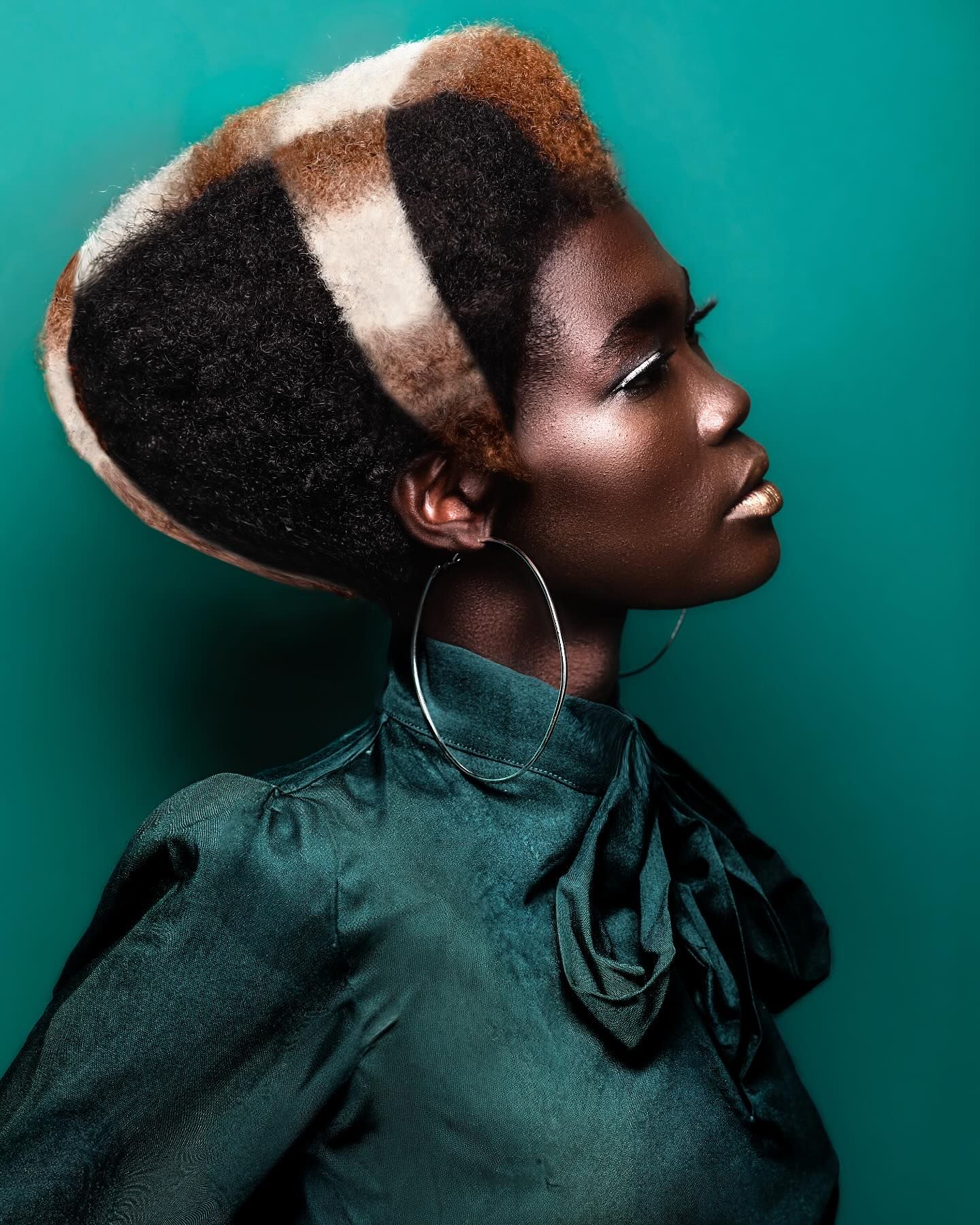 Desmond Murray — Texture Collection ONESHOT Hair Awards entry