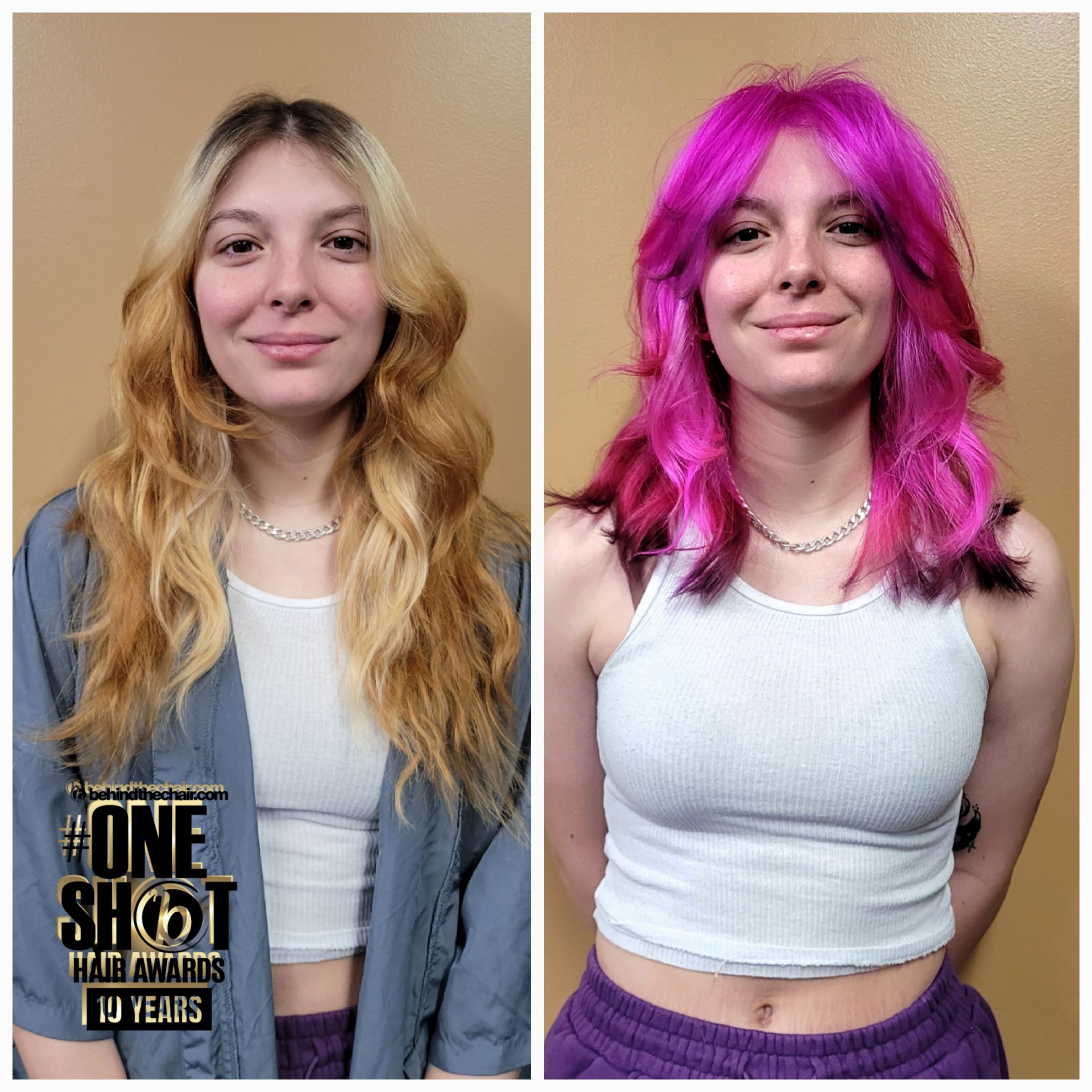 Natasha Manolagas — Color Transformation ONESHOT Hair Awards entry