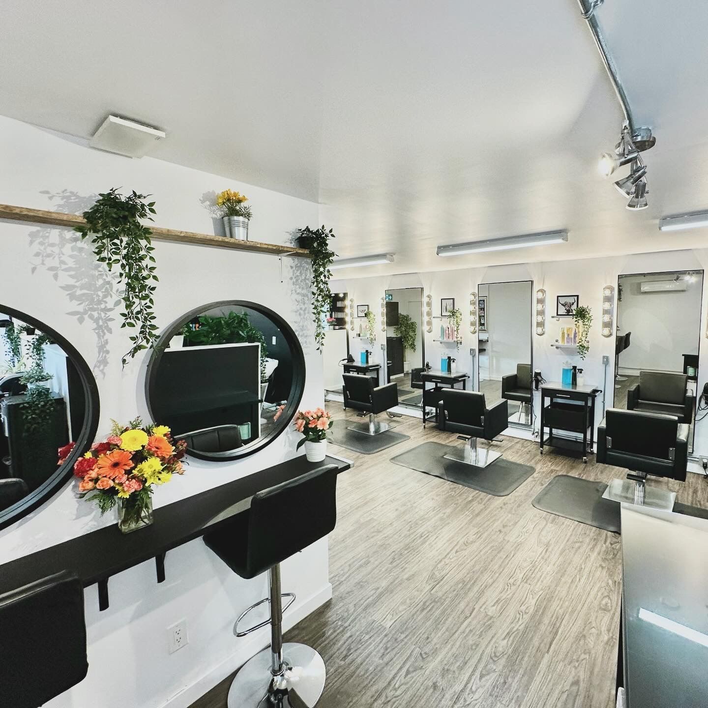 Amber Rogan — Salon Decor ONESHOT Hair Awards entry