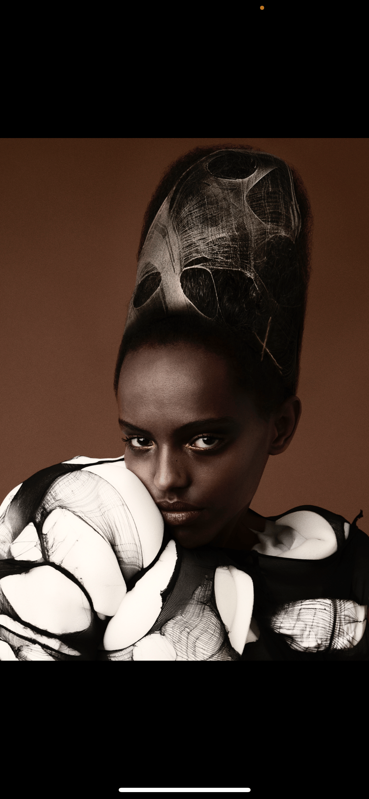 Chetan Mongia — Avant-Garde Collection ONESHOT Hair Awards entry