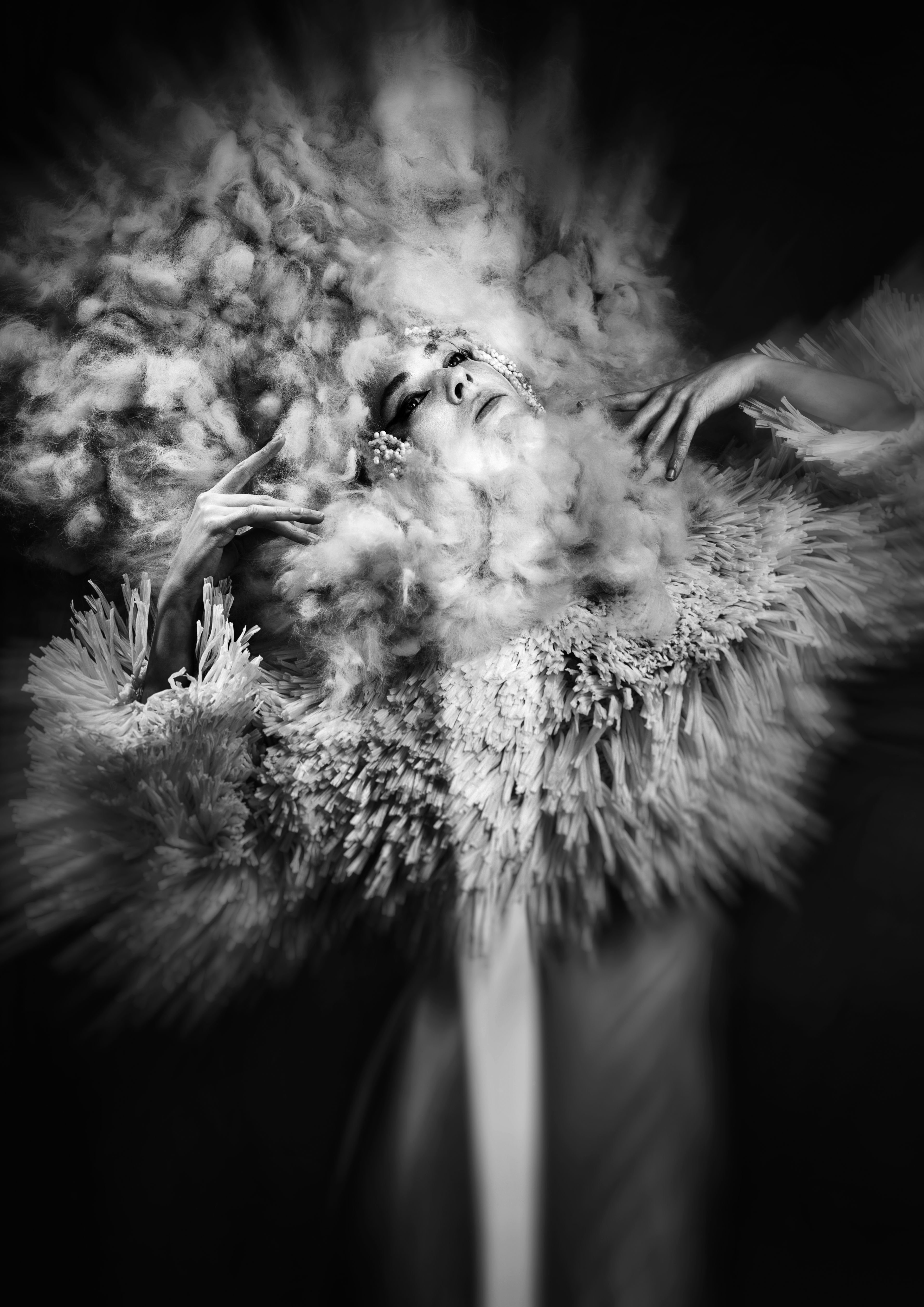 Inge Eichhorn — Avant-Garde Collection ONESHOT Hair Awards entry