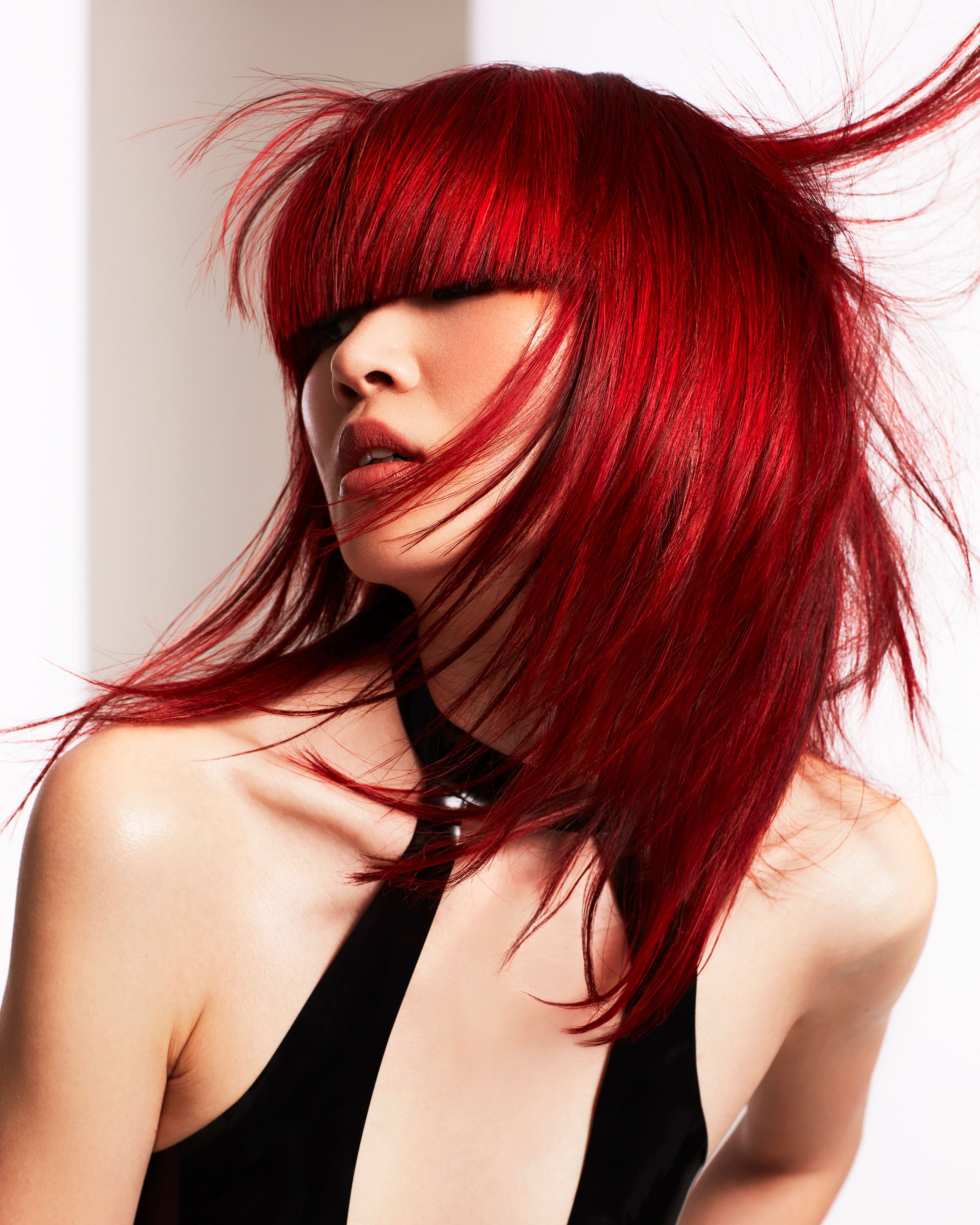 Tracey Ann — Hair Color Collection ONESHOT Hair Awards entry