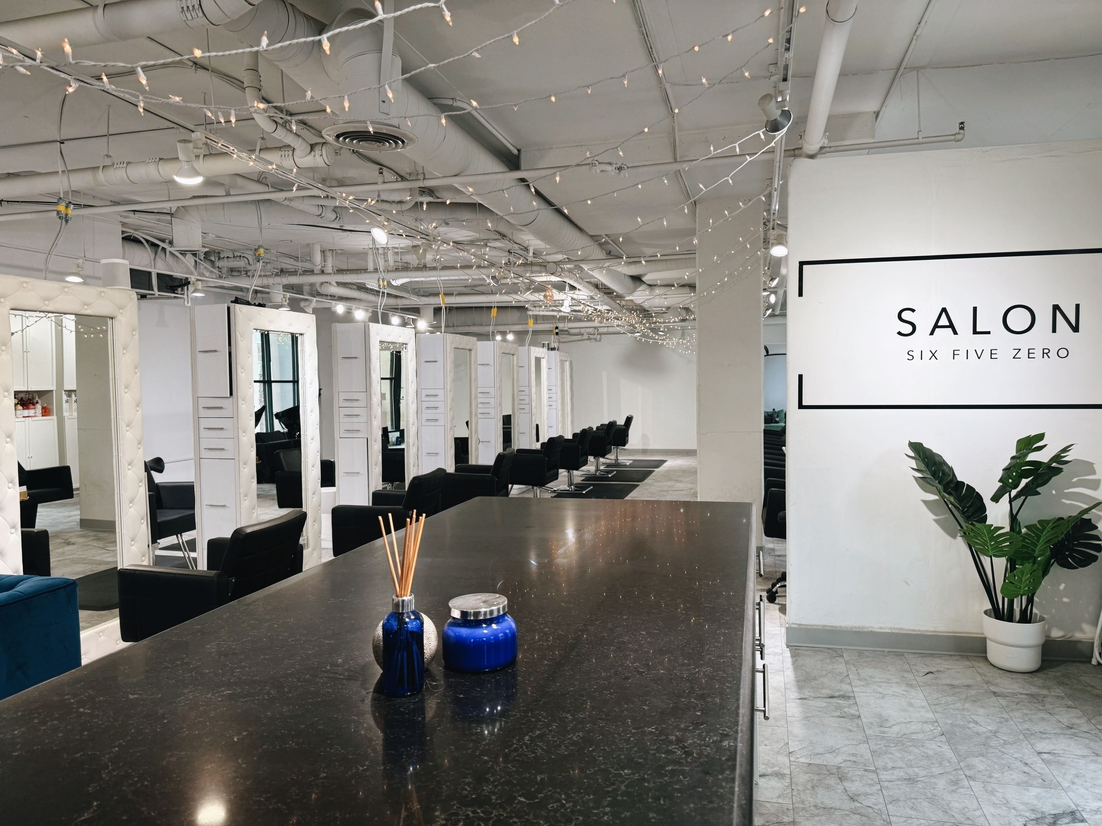 Sierra Adam — Salon Decor ONESHOT Hair Awards entry