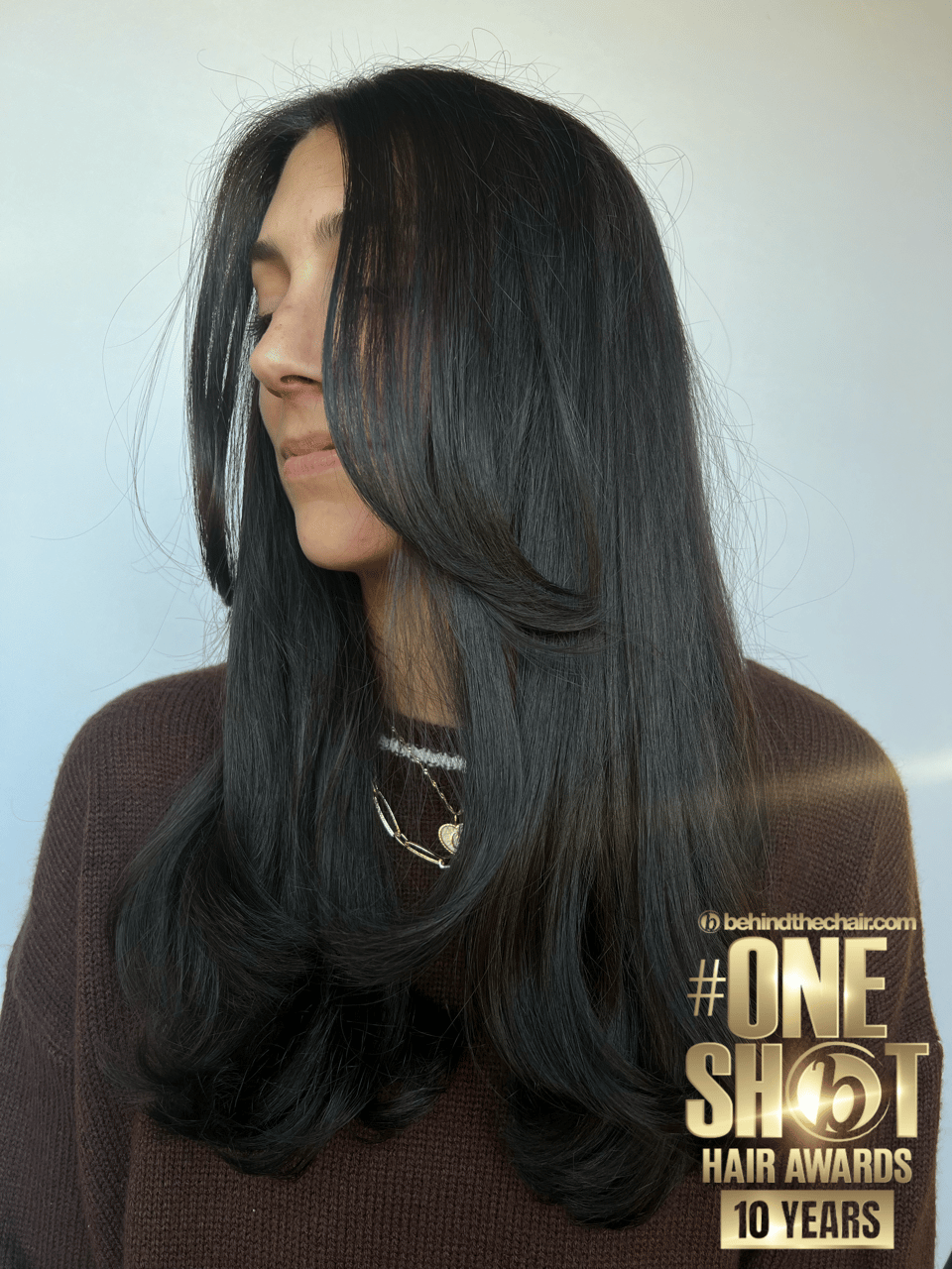 Meagan Guidry — Brunettes ONESHOT Hair Awards entry