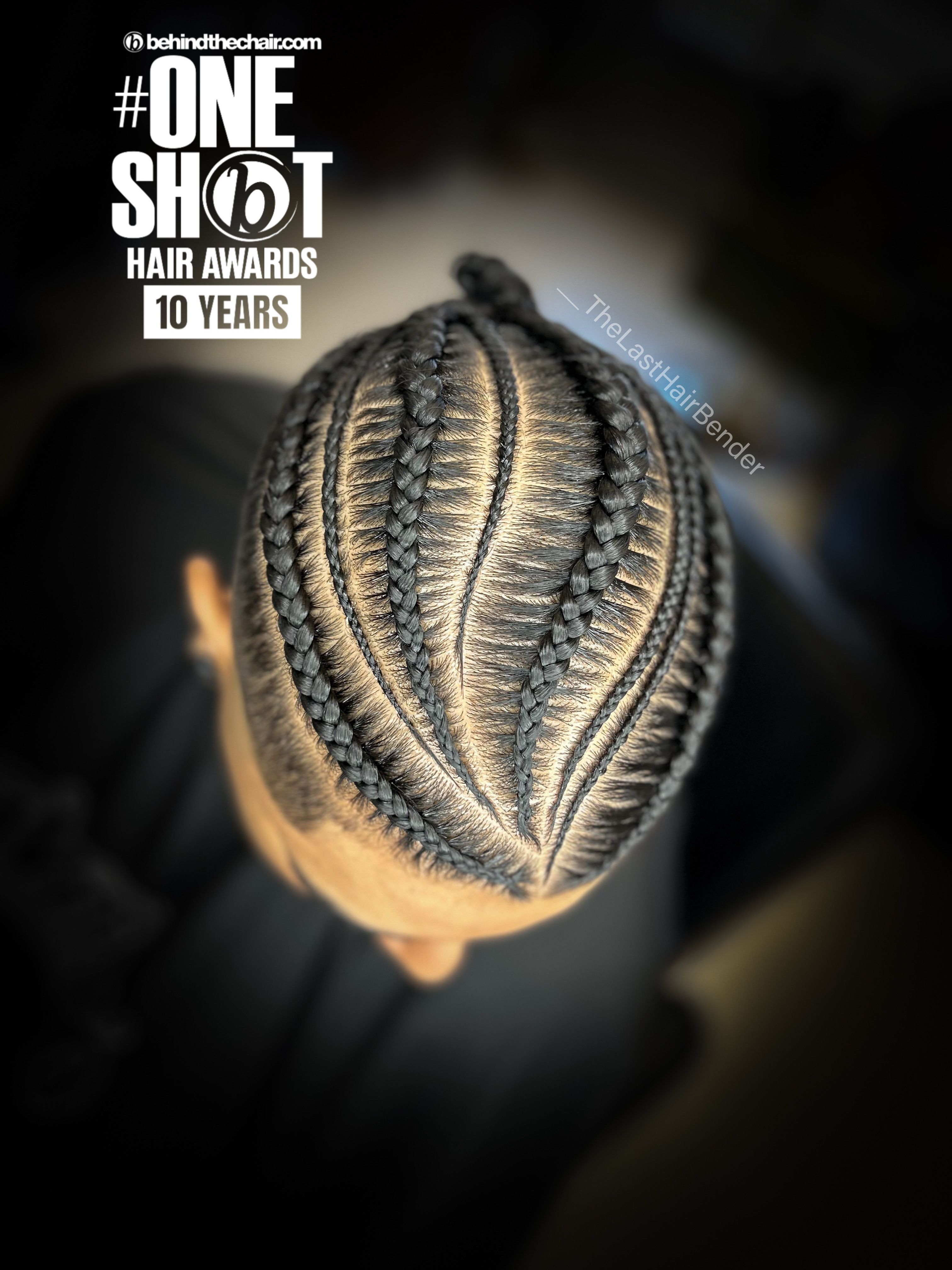 Nayreli Nevarez — Intricate Braids & Twists ONESHOT Hair Awards entry