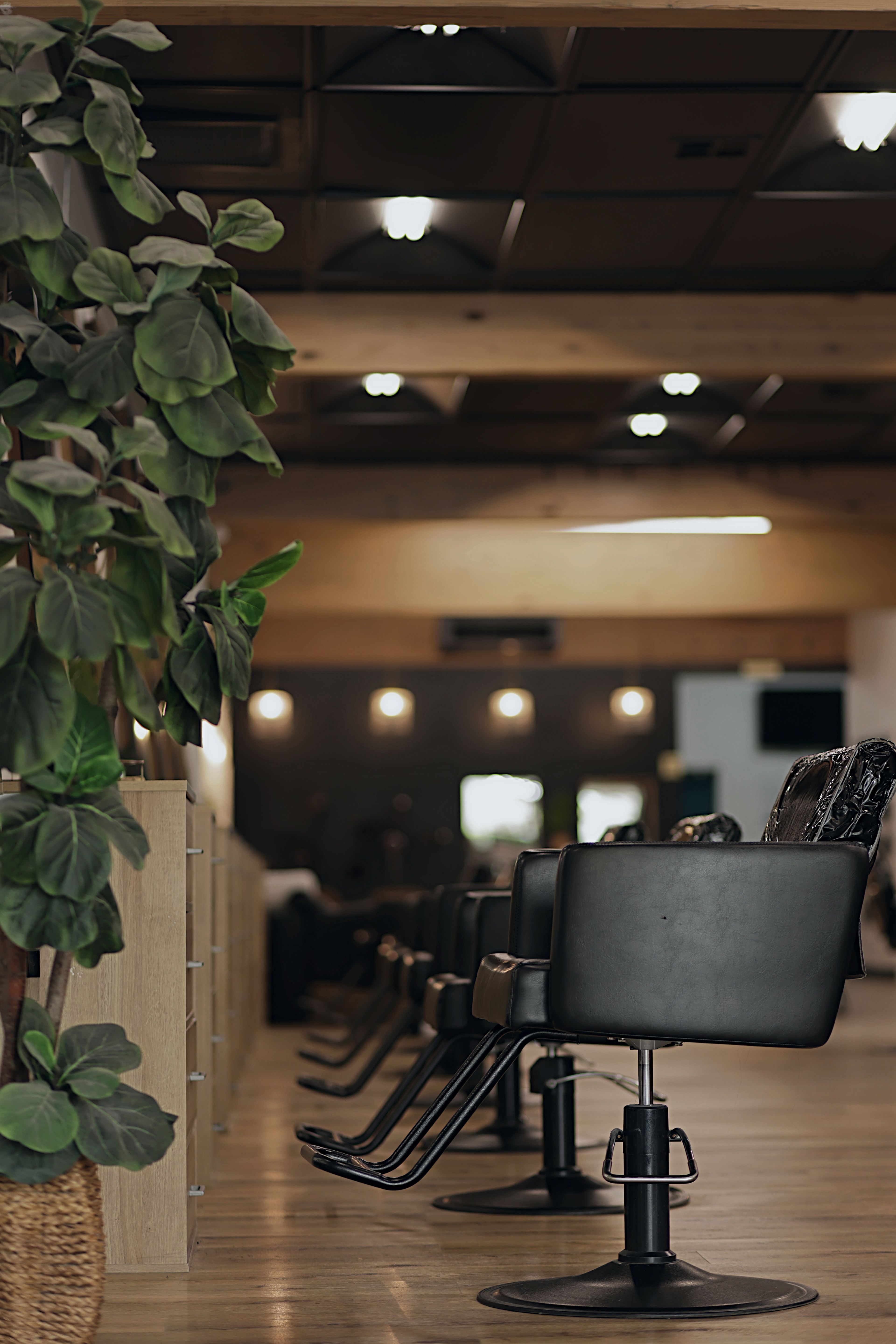 Megan King — Salon Decor ONESHOT Hair Awards entry