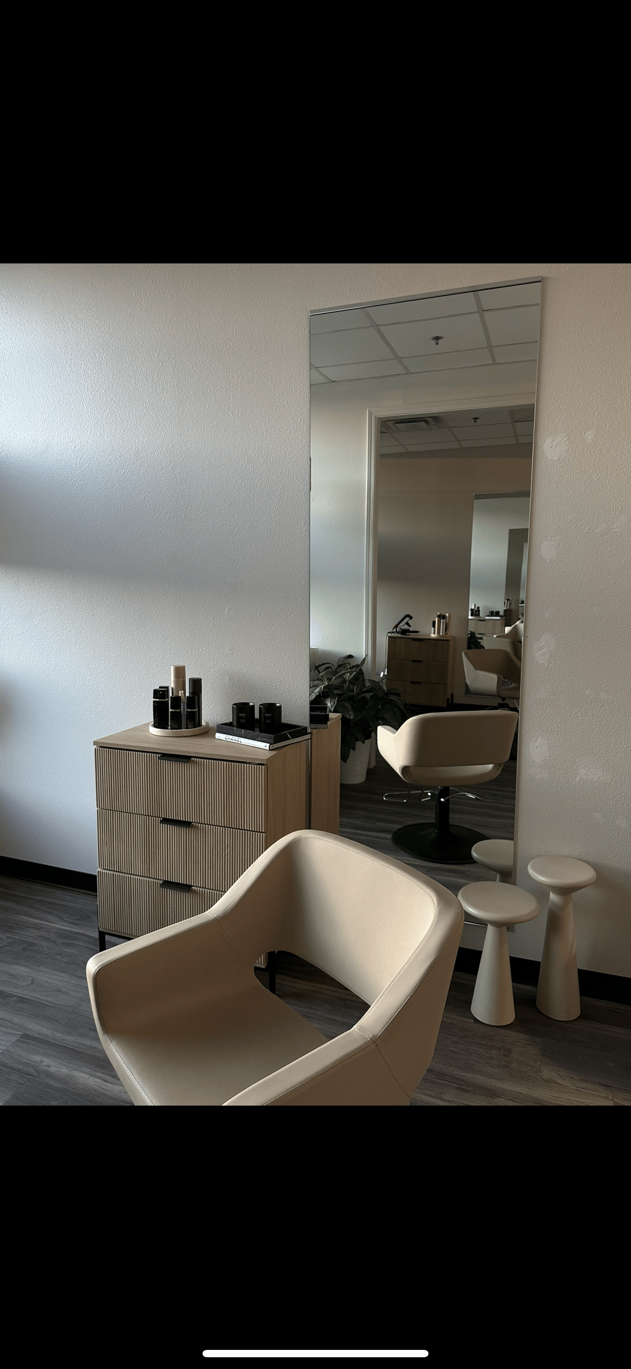Dana Milicevic — Suite Decor ONESHOT Hair Awards entry