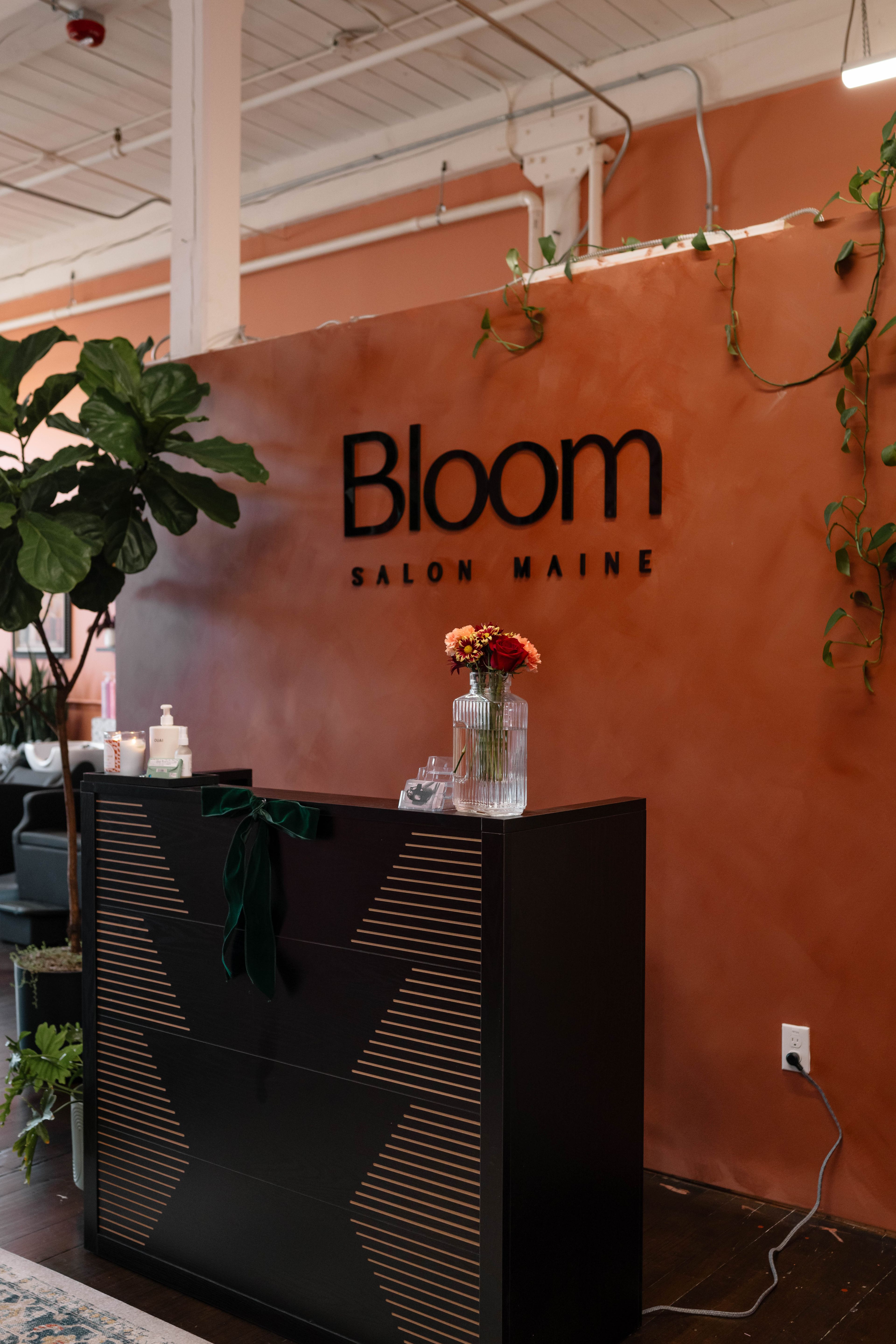 Kara Day — Salon Decor ONESHOT Hair Awards entry