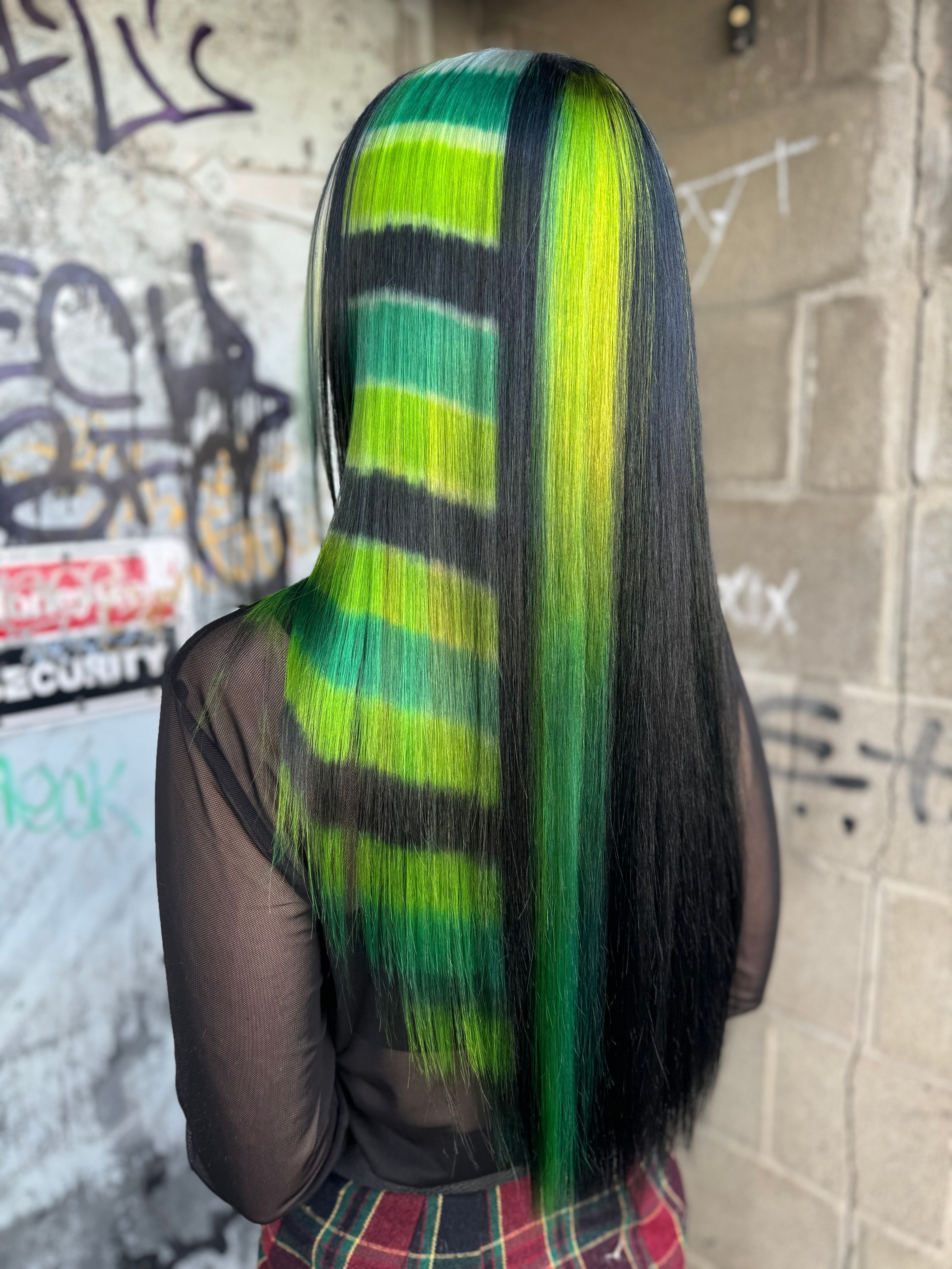 Tash Gagnon — Creative Color ONESHOT Hair Awards entry