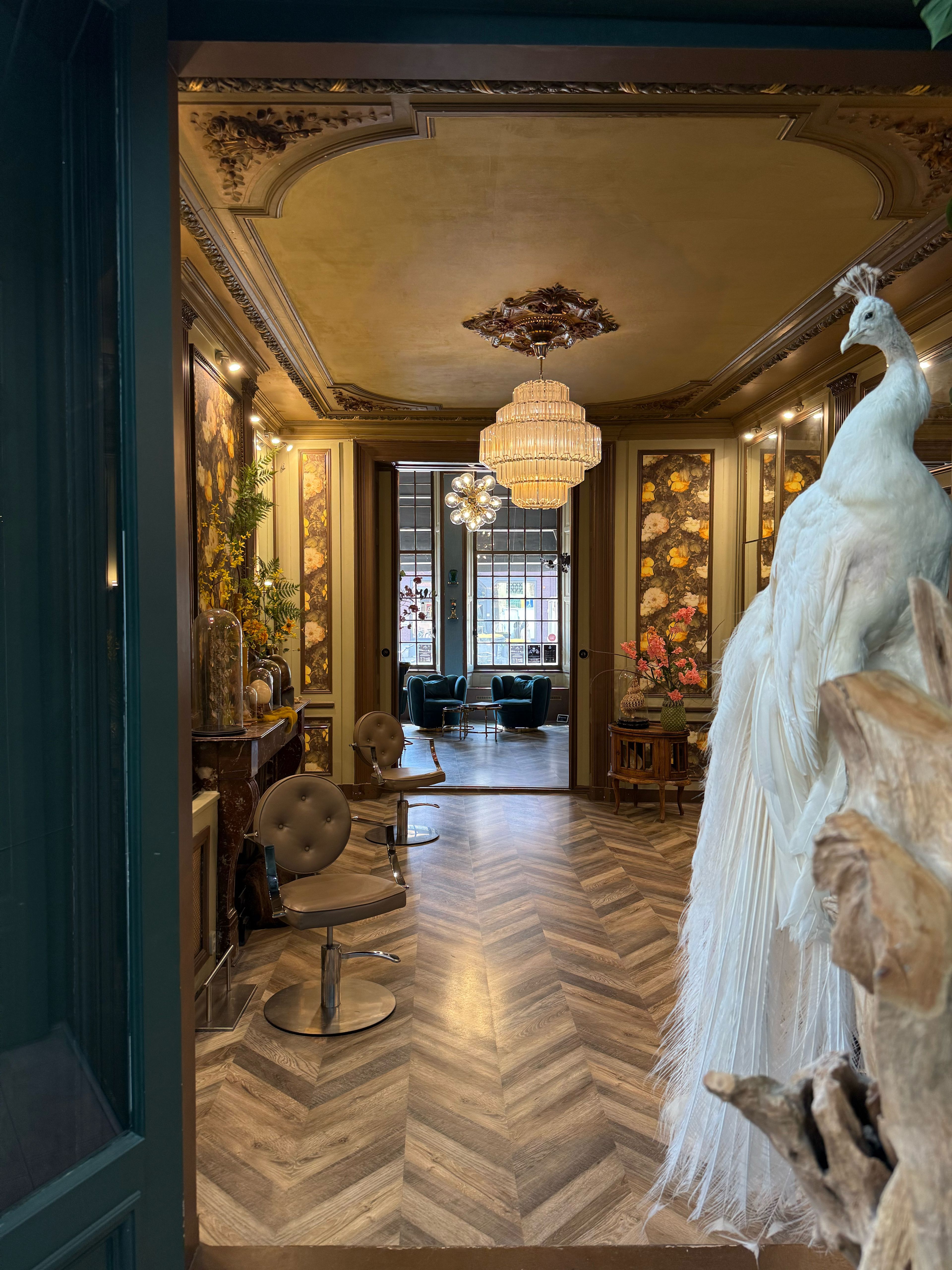 Sanjay Ramcharan — Salon Decor ONESHOT Hair Awards entry