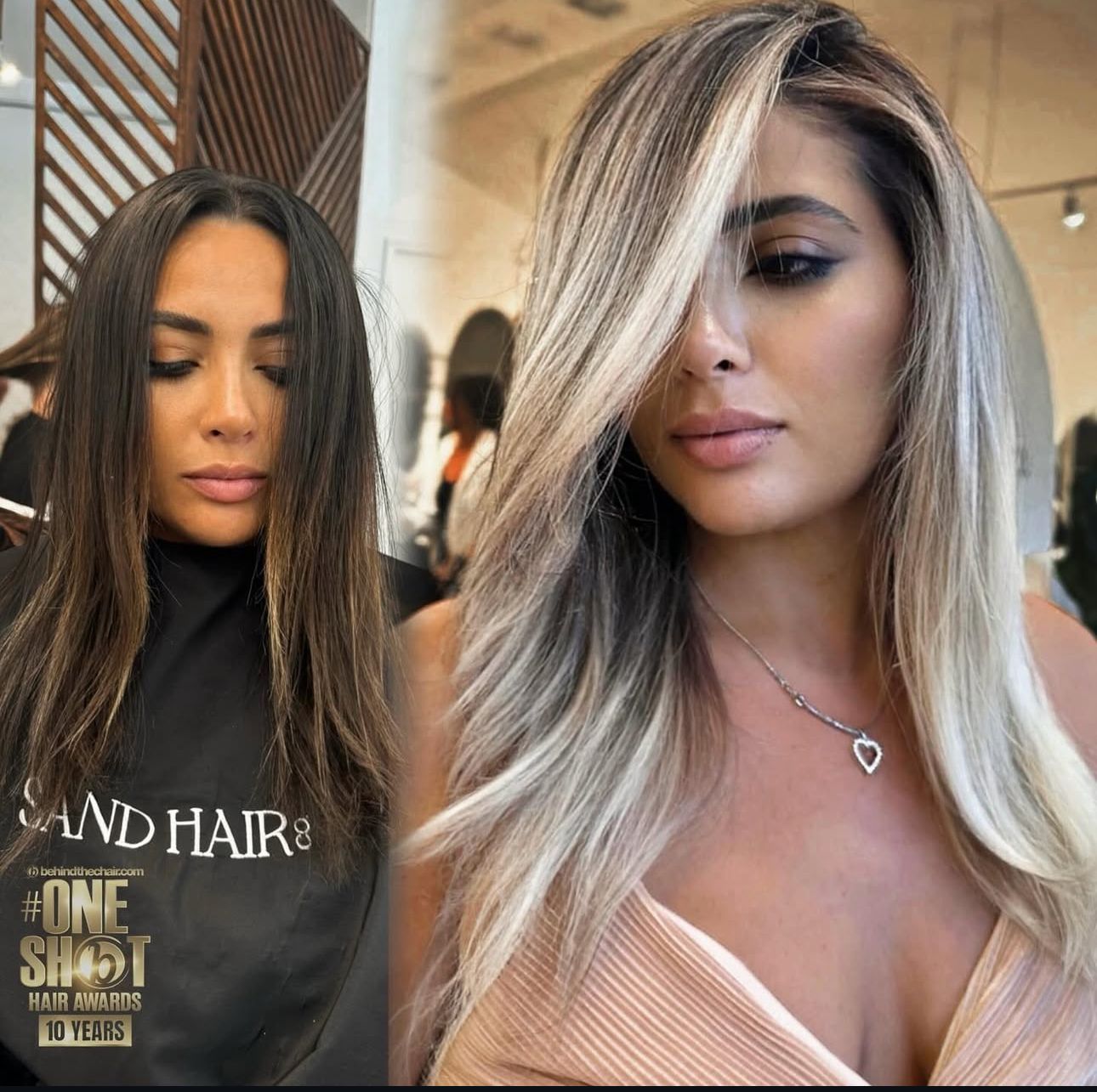Ashley Smith — Color Transformation ONESHOT Hair Awards entry