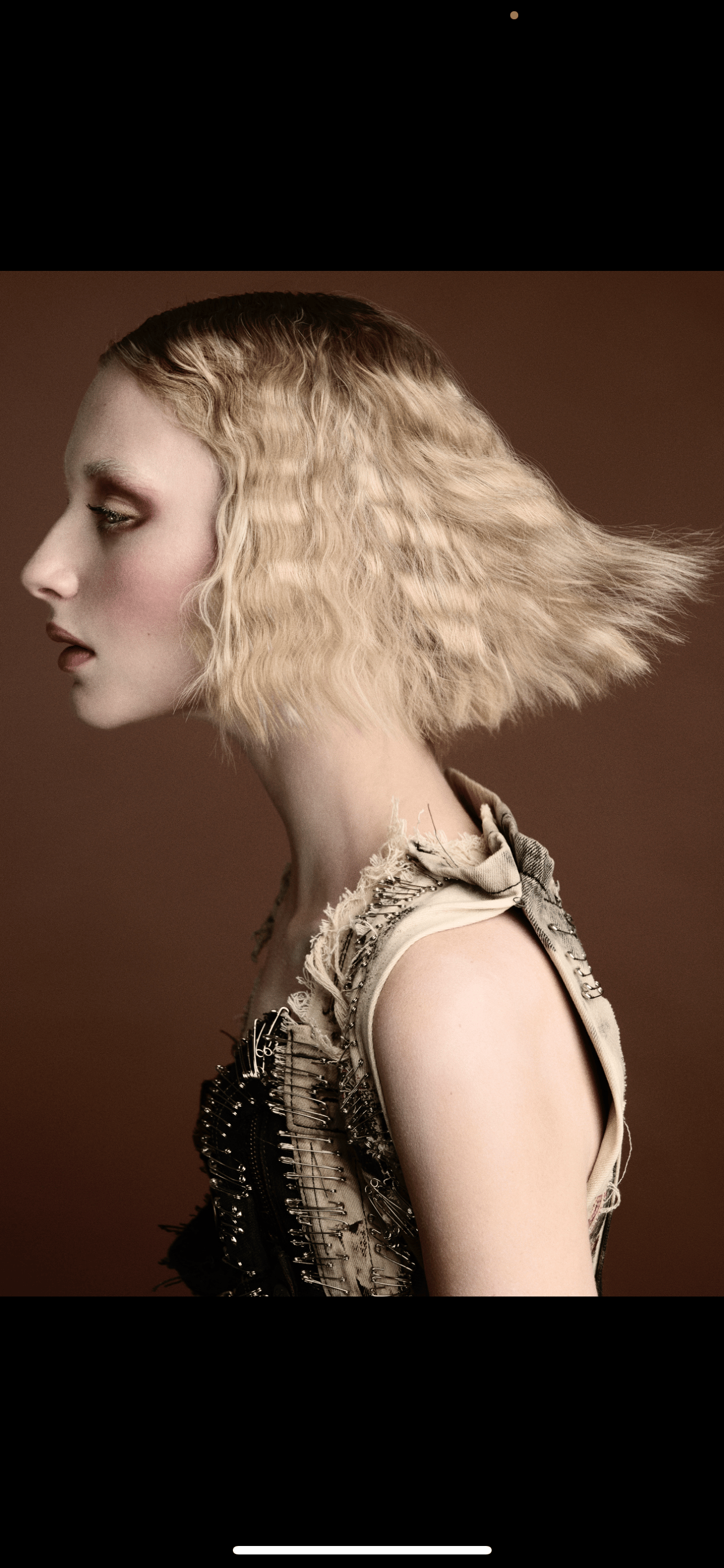 Chetan Mongia — Editorial Collection ONESHOT Hair Awards entry