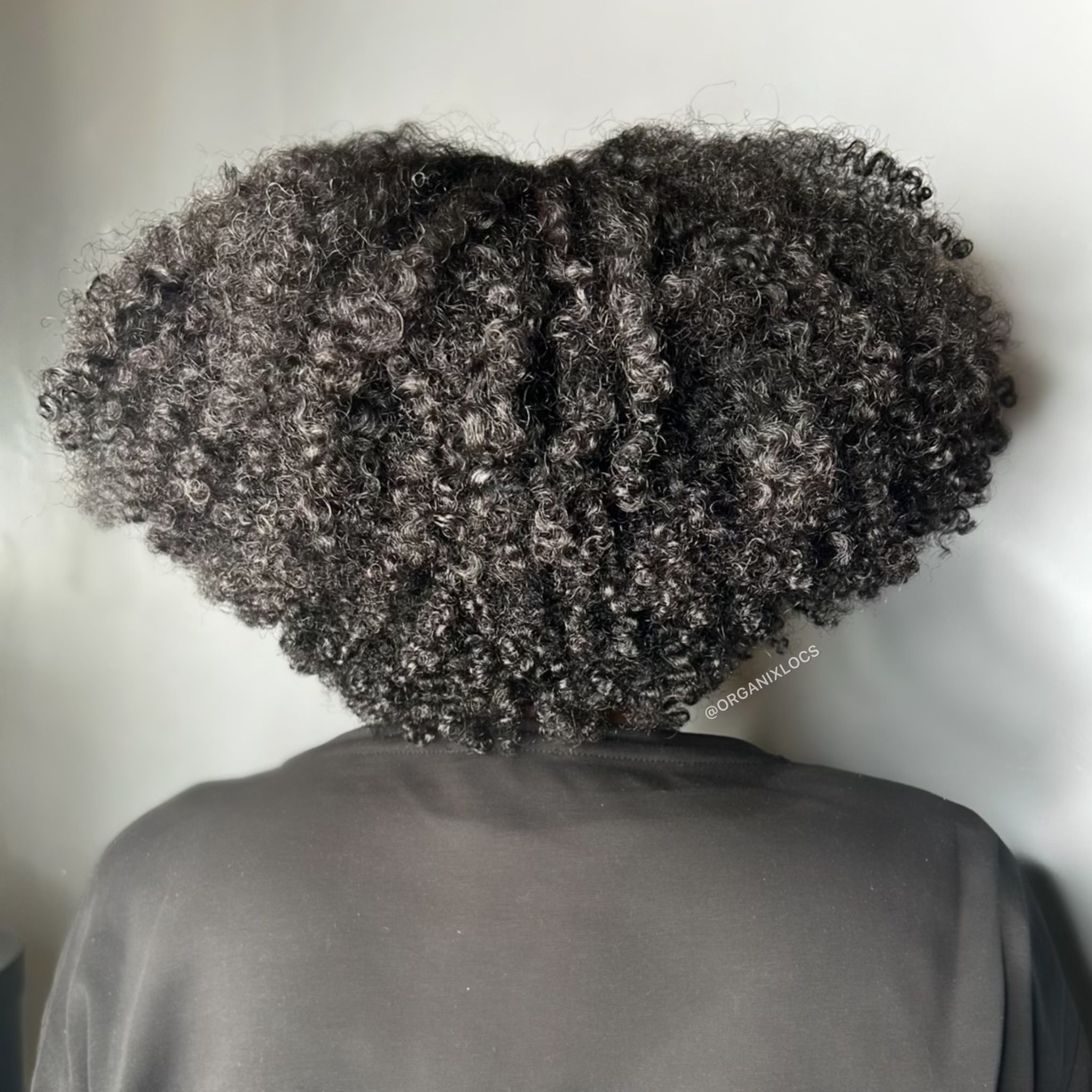 Marisa Peal — Natural Texture ONESHOT Hair Awards entry
