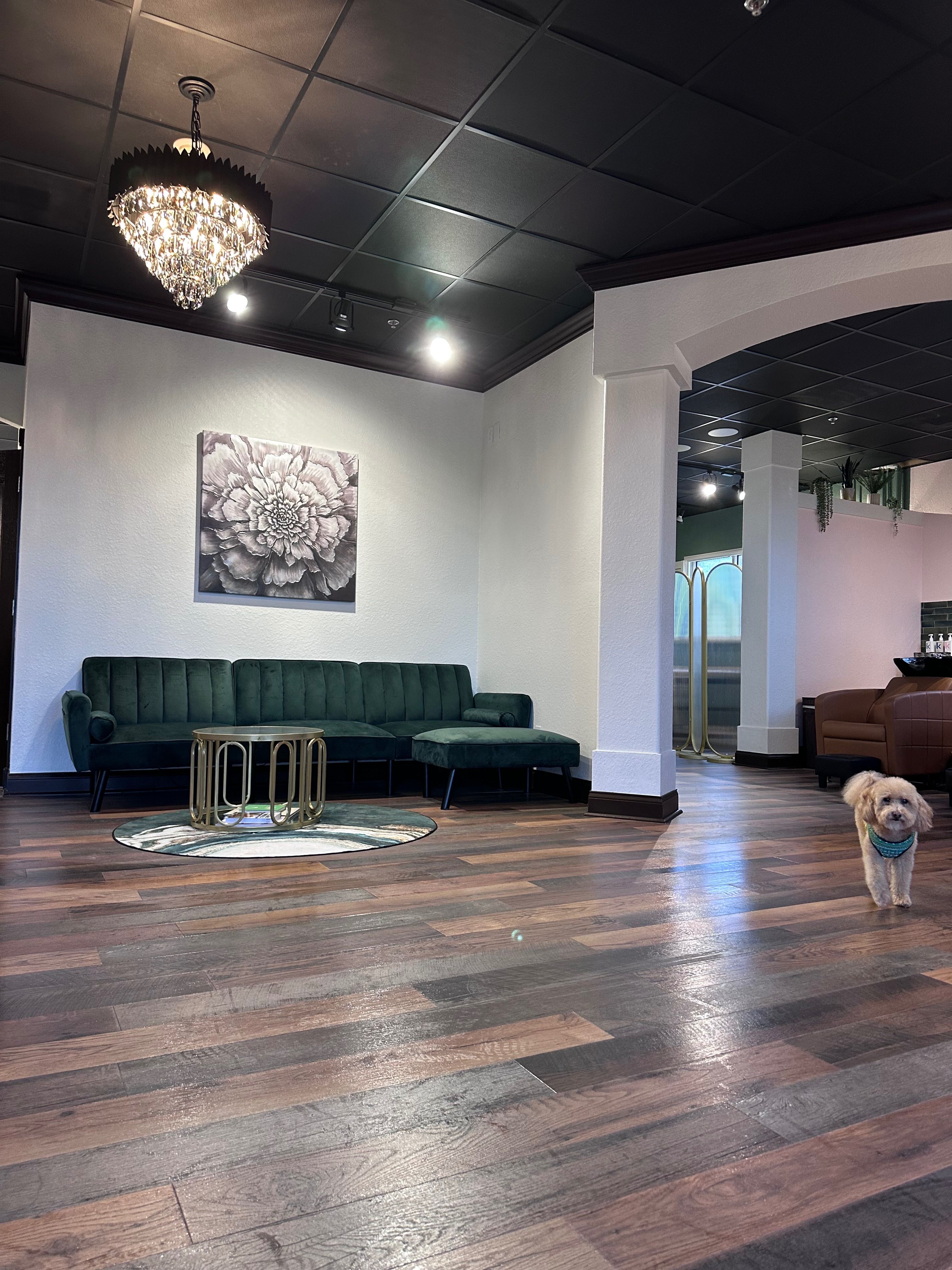Sandie Tucker — Salon Decor ONESHOT Hair Awards entry