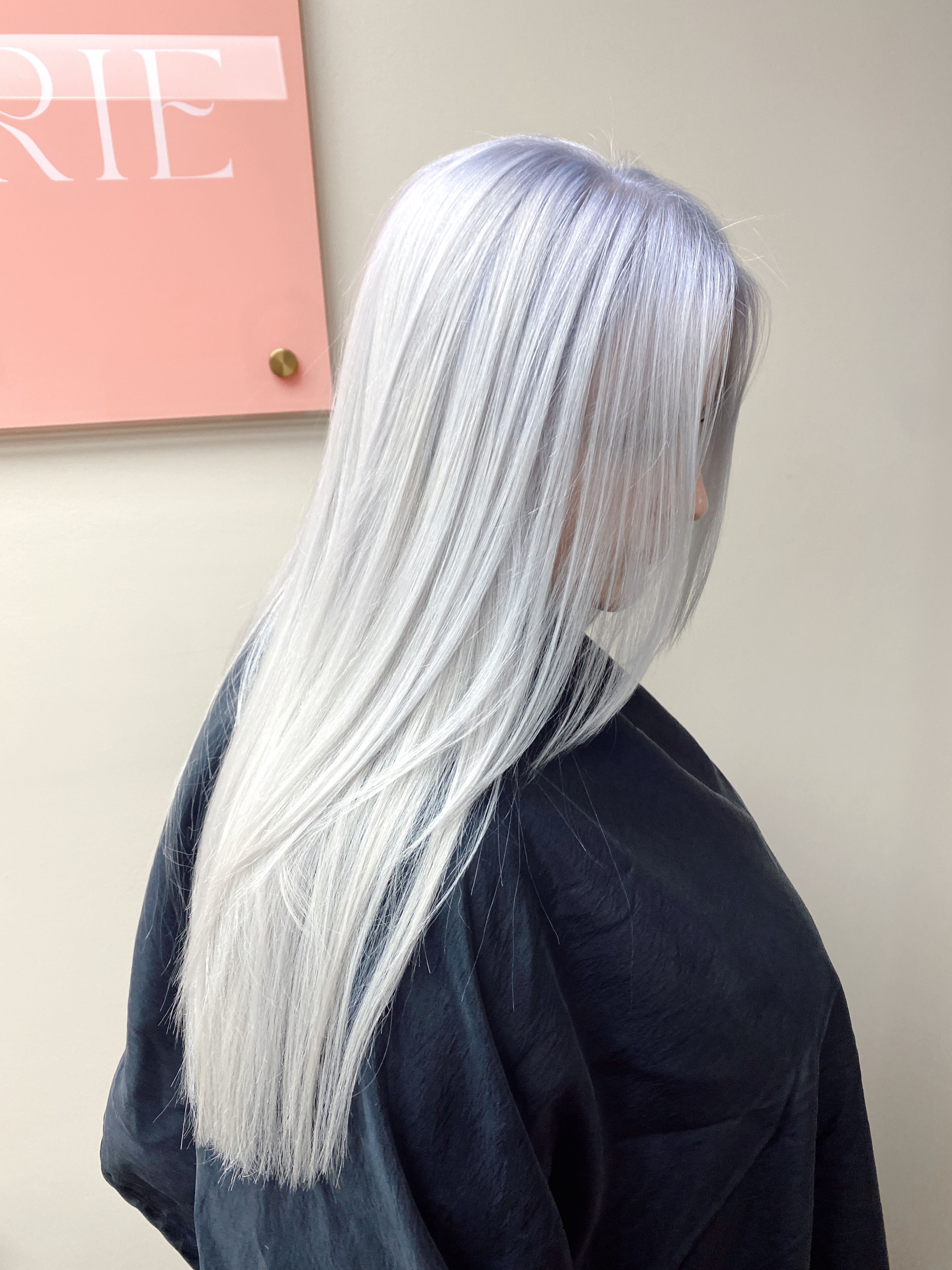 Kristina Jantz — Platinum ONESHOT Hair Awards entry