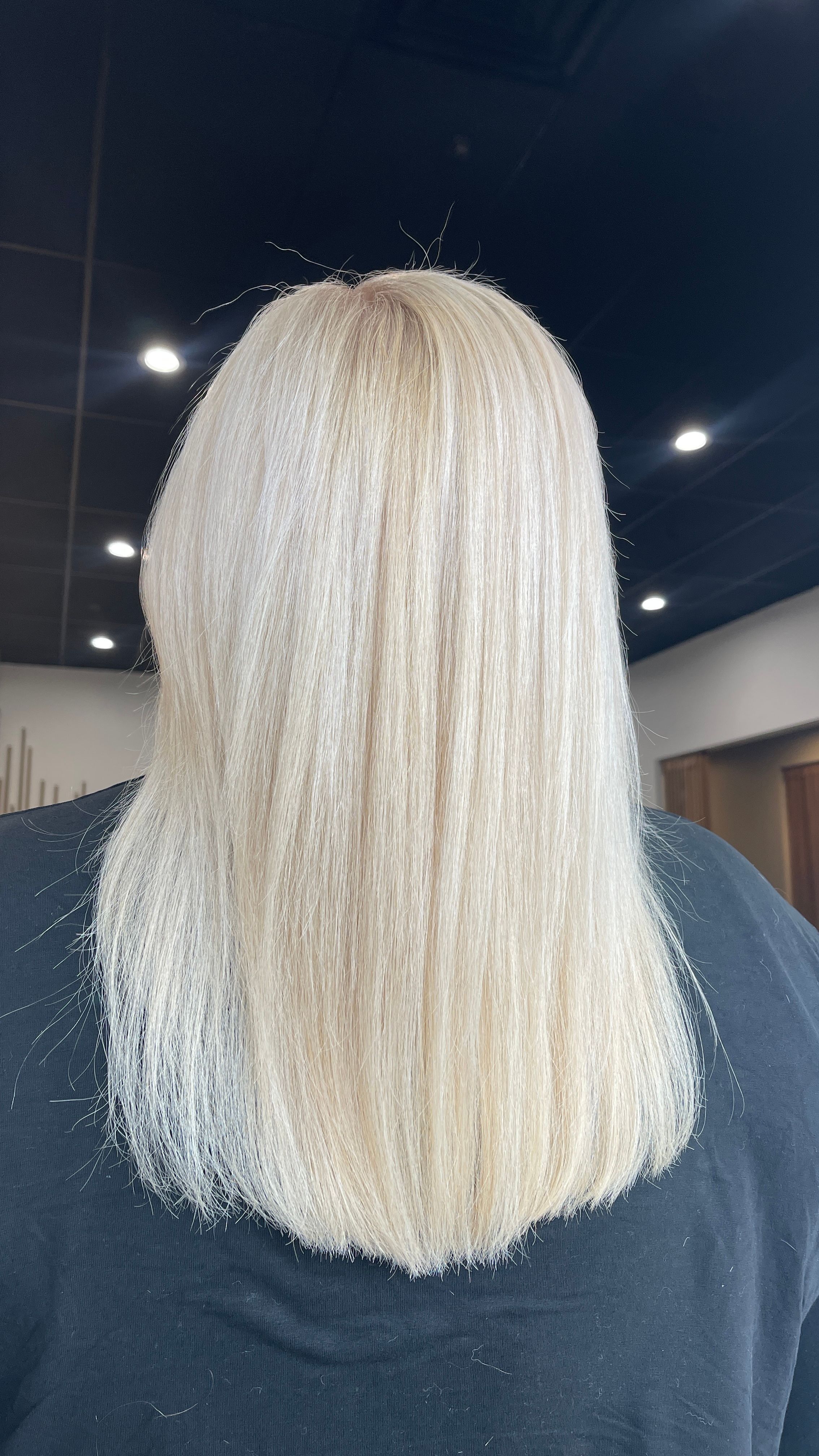 Kara Torgersin — Platinum ONESHOT Hair Awards entry