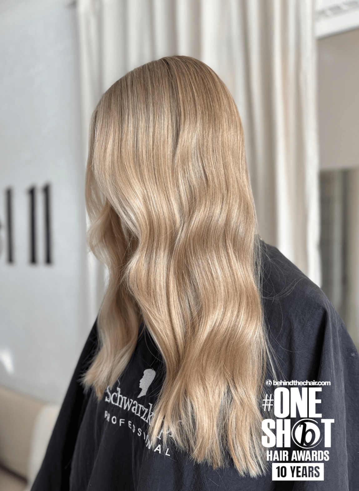 Danielle Frenz — Blondes ONESHOT Hair Awards entry
