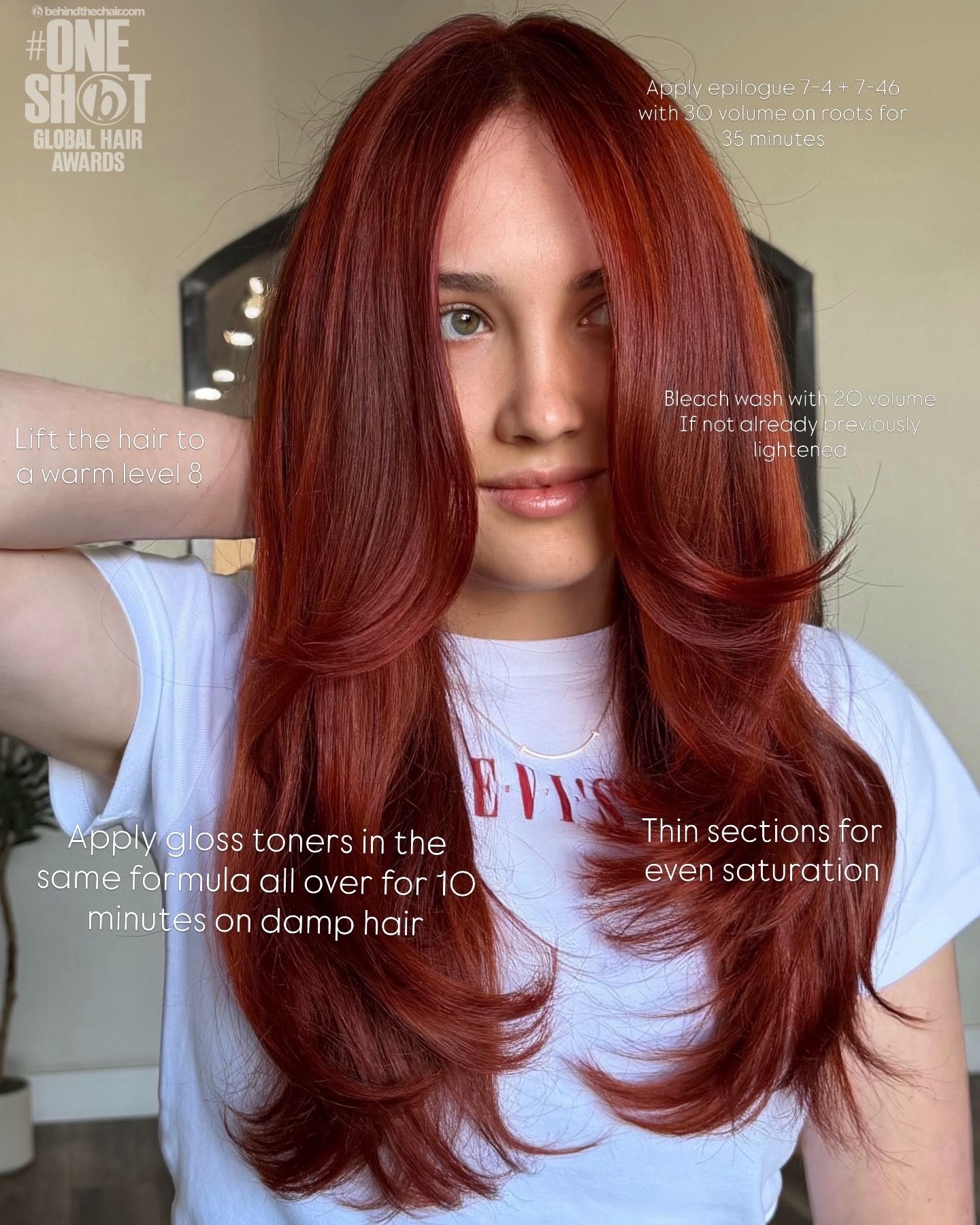 Kassandra Lerma — Educational Post ONESHOT Hair Awards entry