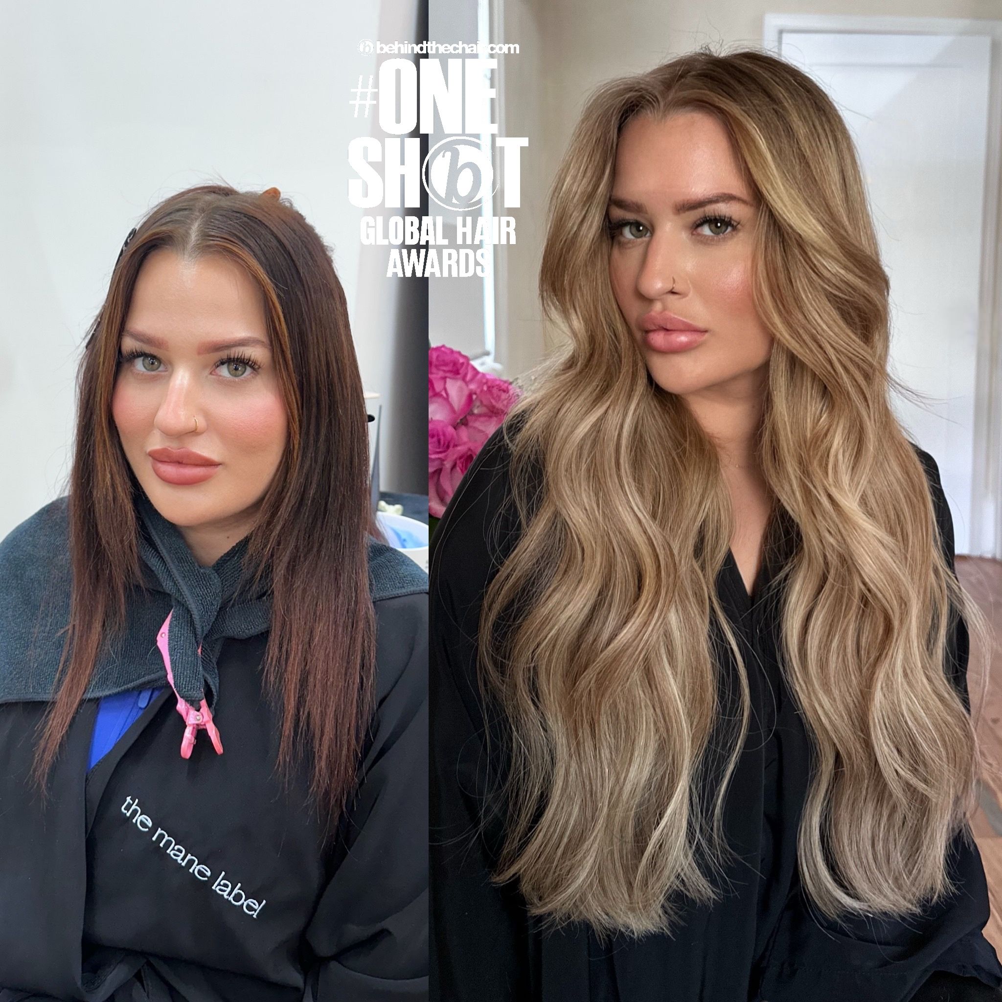 Rebecca Ortiz — Color Transformation ONESHOT Hair Awards entry