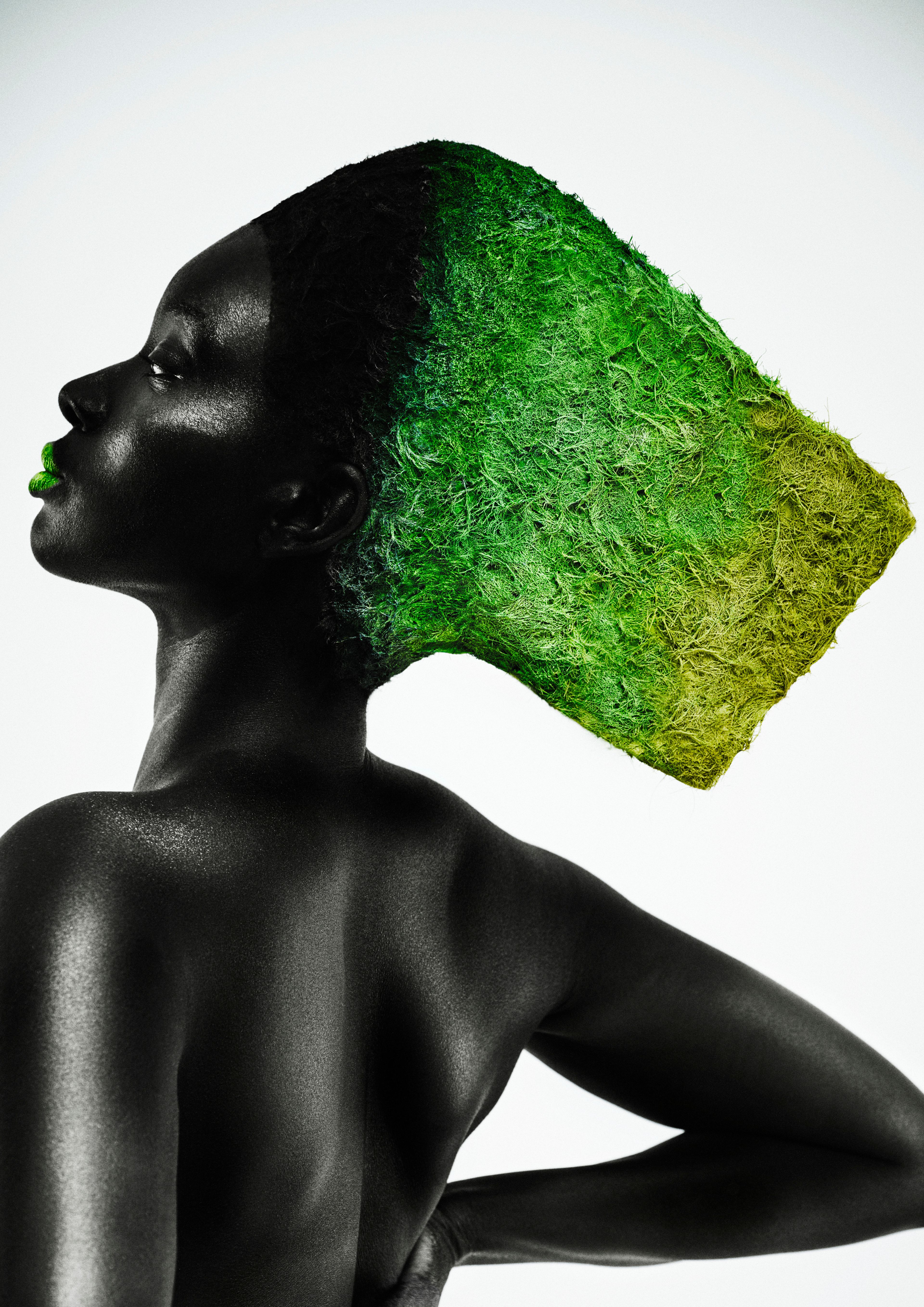 Raoul Van Delden — Avant-Garde Collection ONESHOT Hair Awards entry