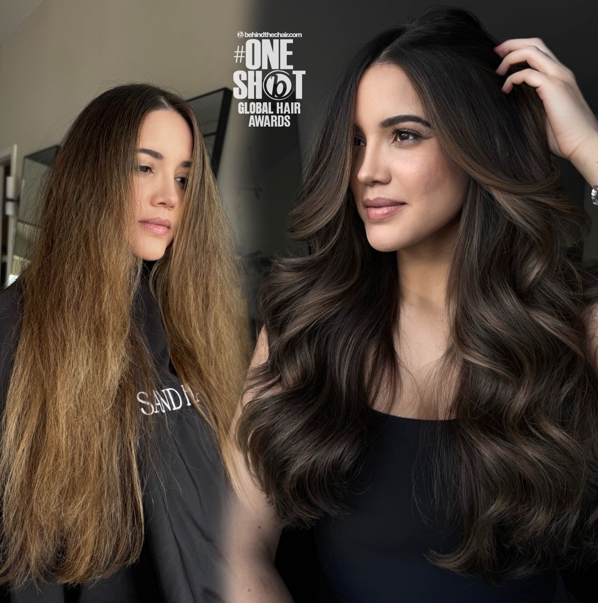 Ashley Smith — Color Transformation ONESHOT Hair Awards entry