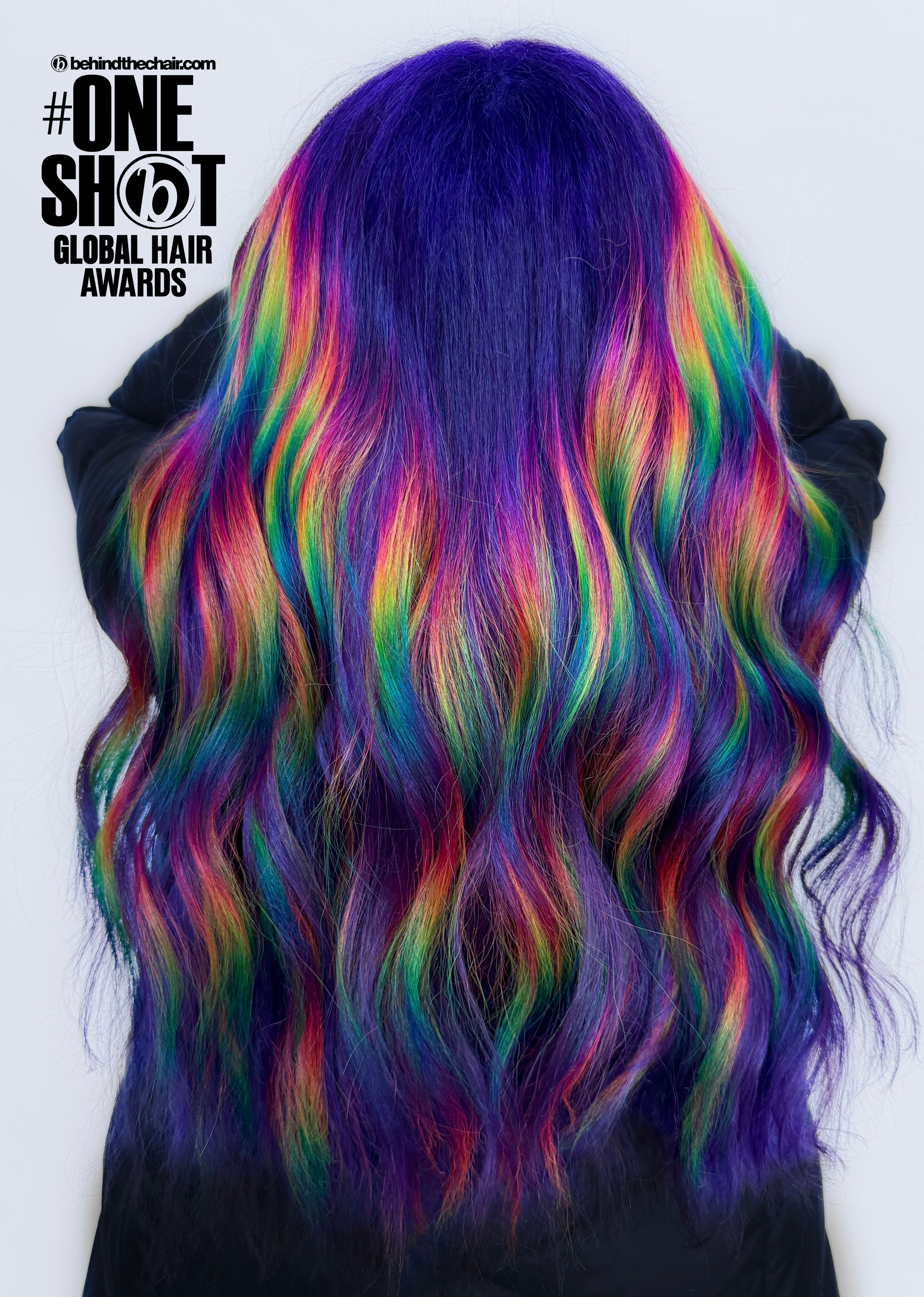 Nicole Wehry — Creative Color ONESHOT Hair Awards entry