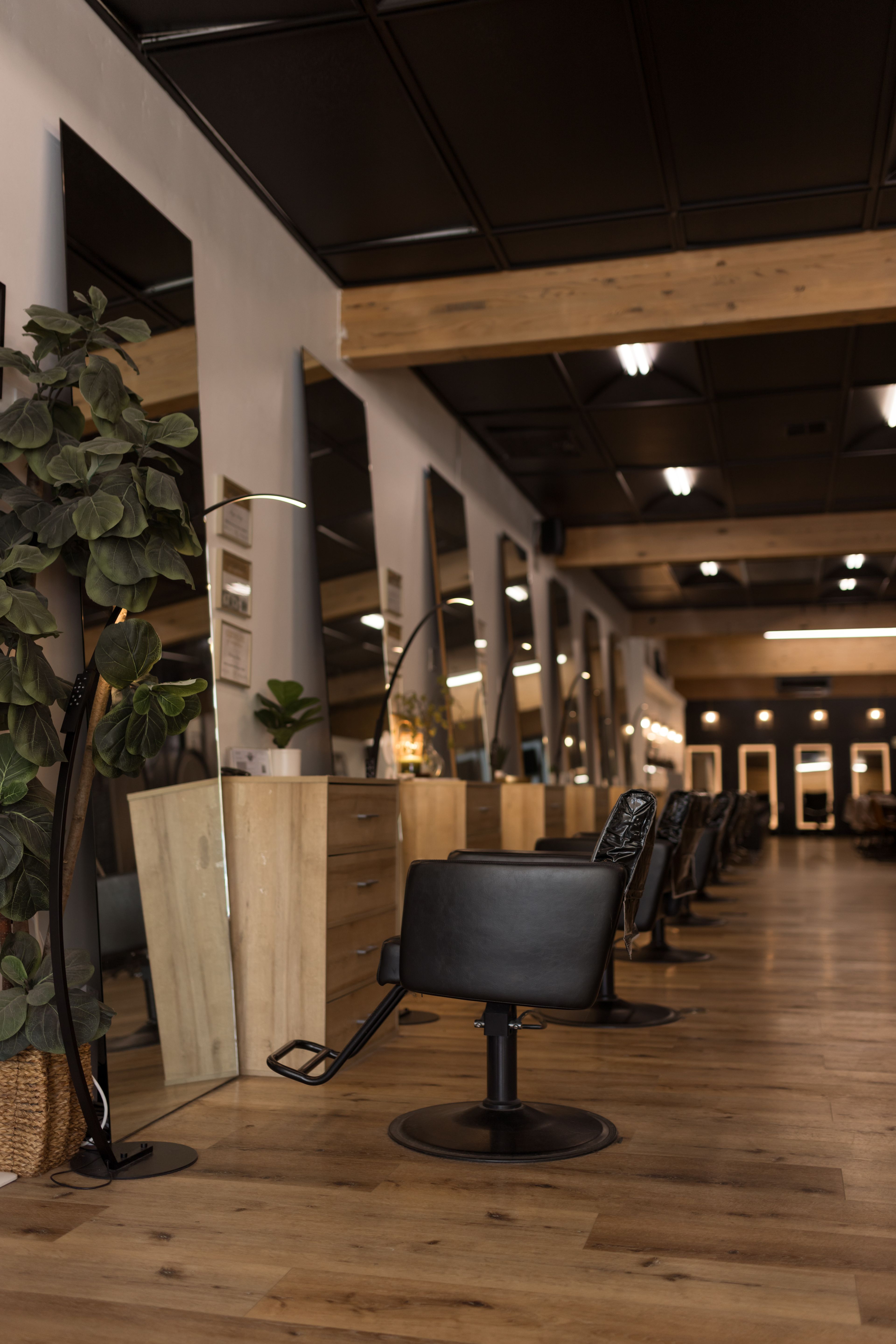 Megan King — Salon Decor ONESHOT Hair Awards entry