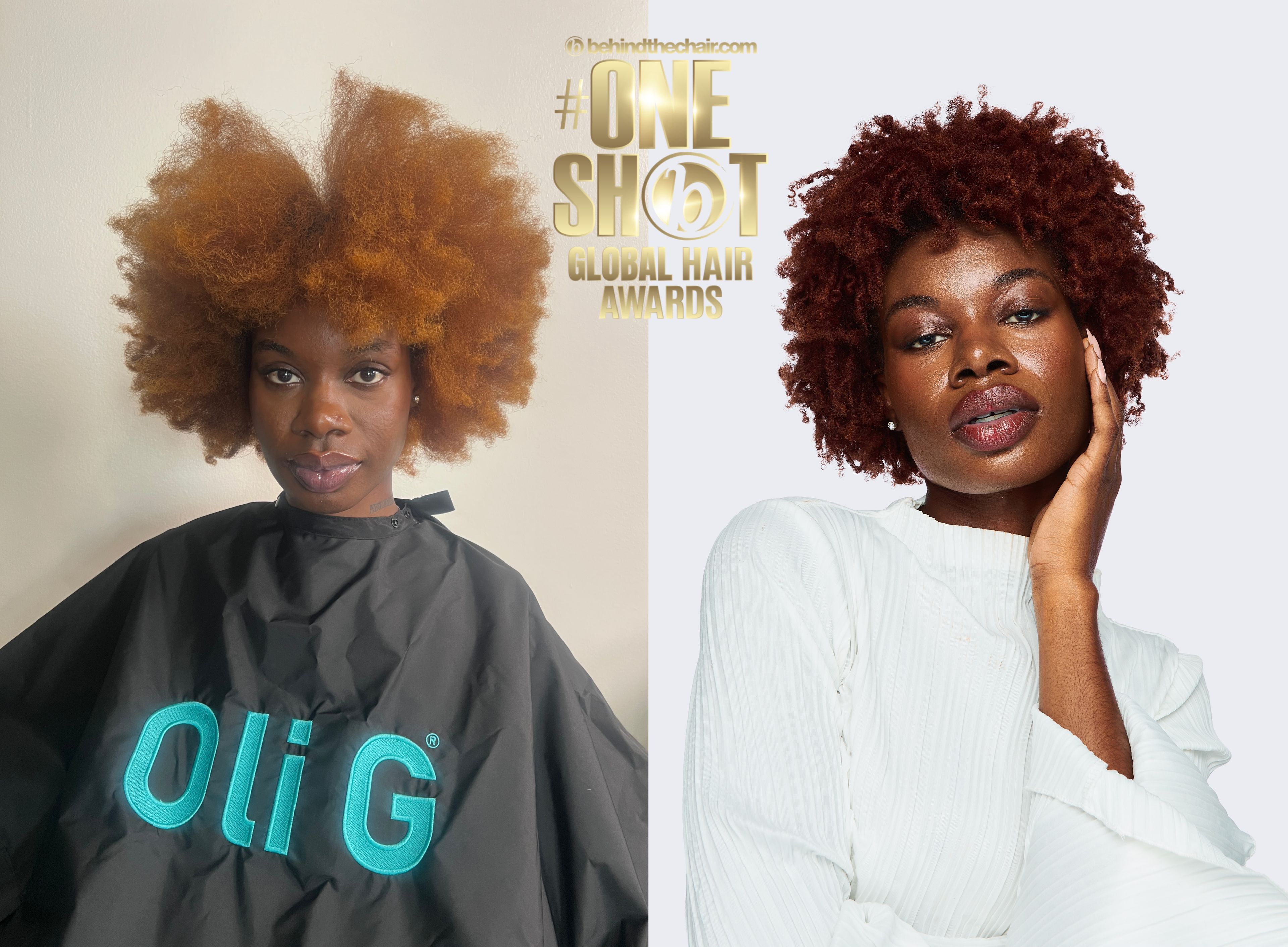 Katie Brenner — Color Transformation ONESHOT Hair Awards entry