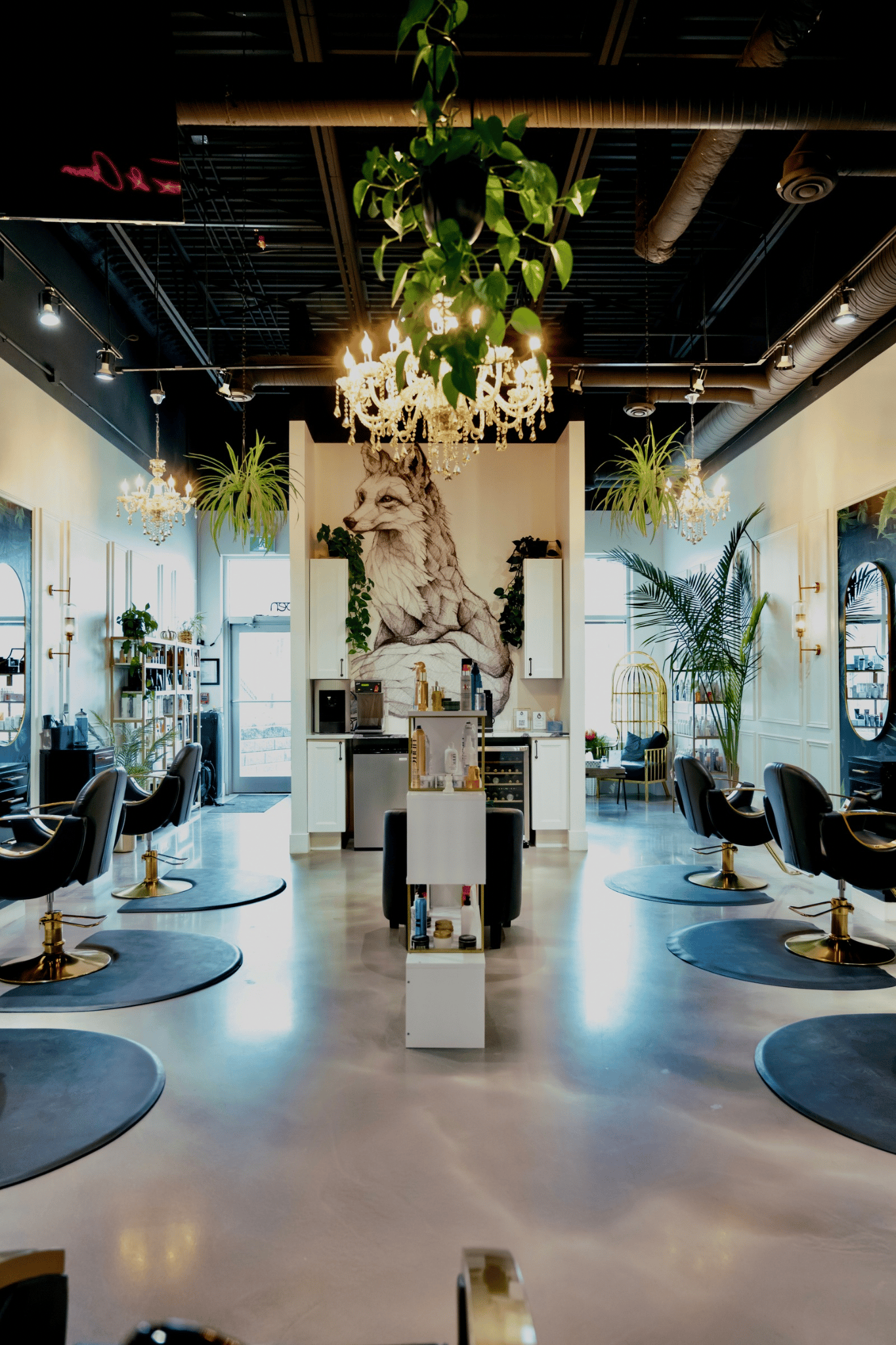 Sarah Murphy — Salon Decor ONESHOT Hair Awards entry