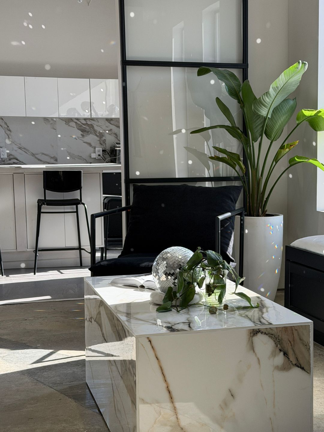 Jillian Ripplinger — Salon Decor ONESHOT Hair Awards entry
