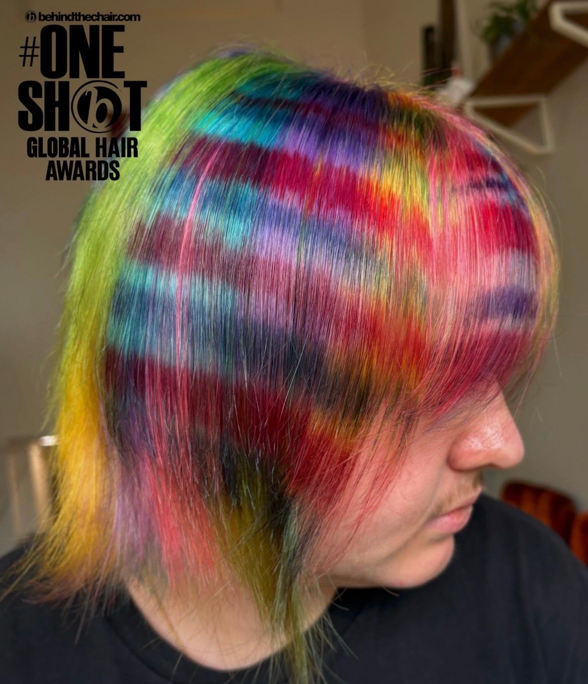 Bri Chiu — Creative Color ONESHOT Hair Awards entry