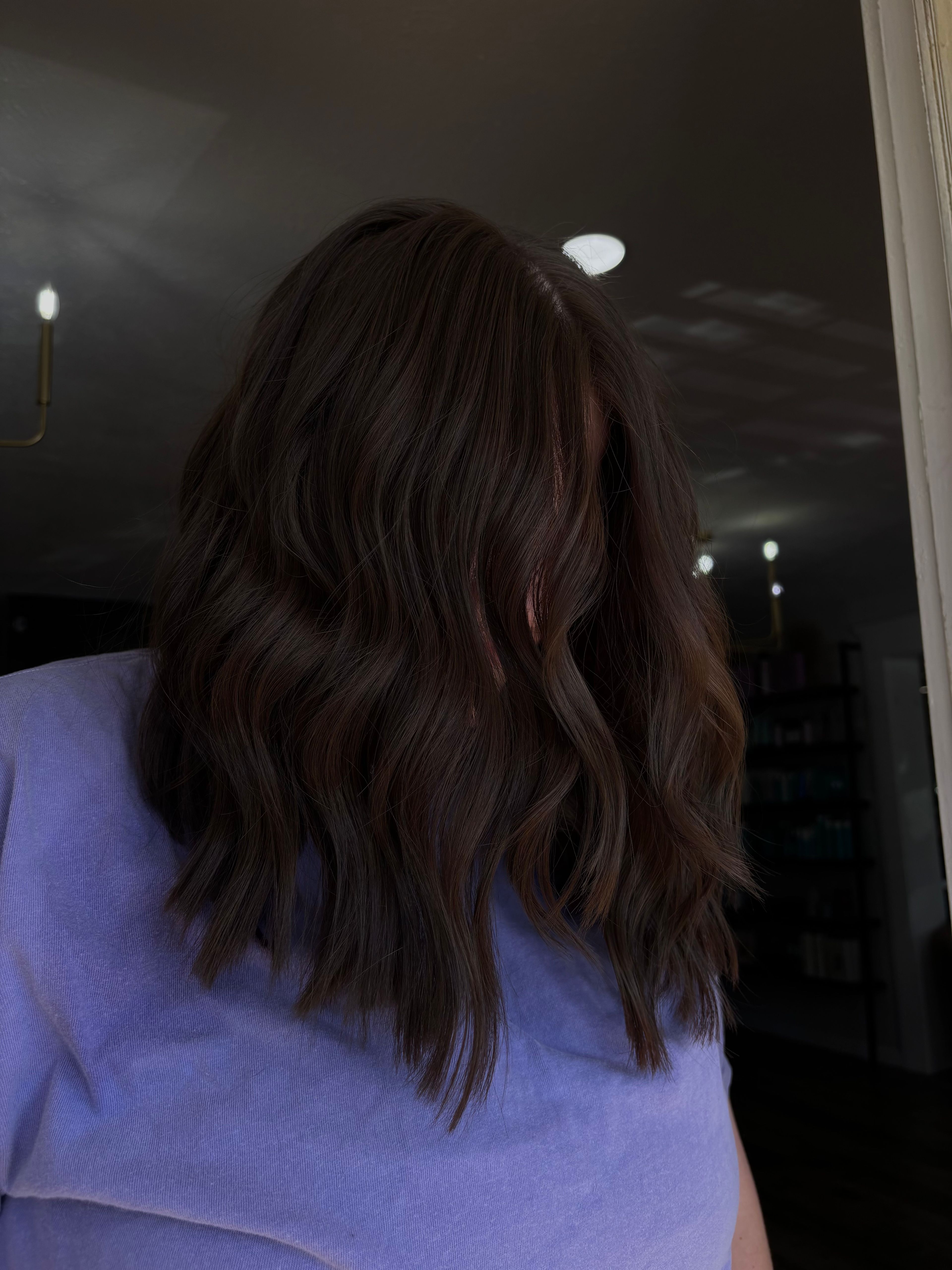 Ashlynn DeVeau — Brunettes ONESHOT Hair Awards entry