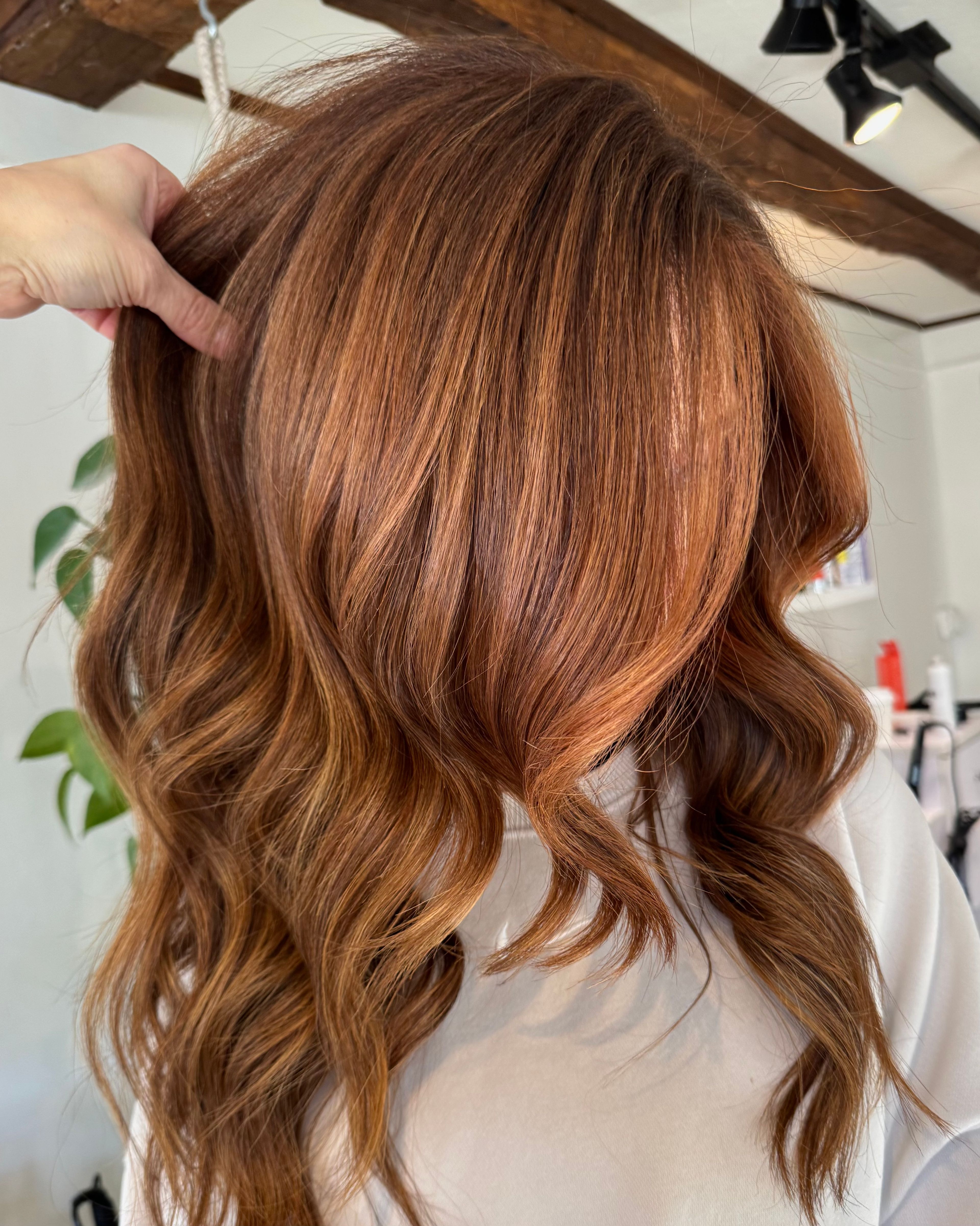 Sonya Molyneaux — Reds ONESHOT Hair Awards entry