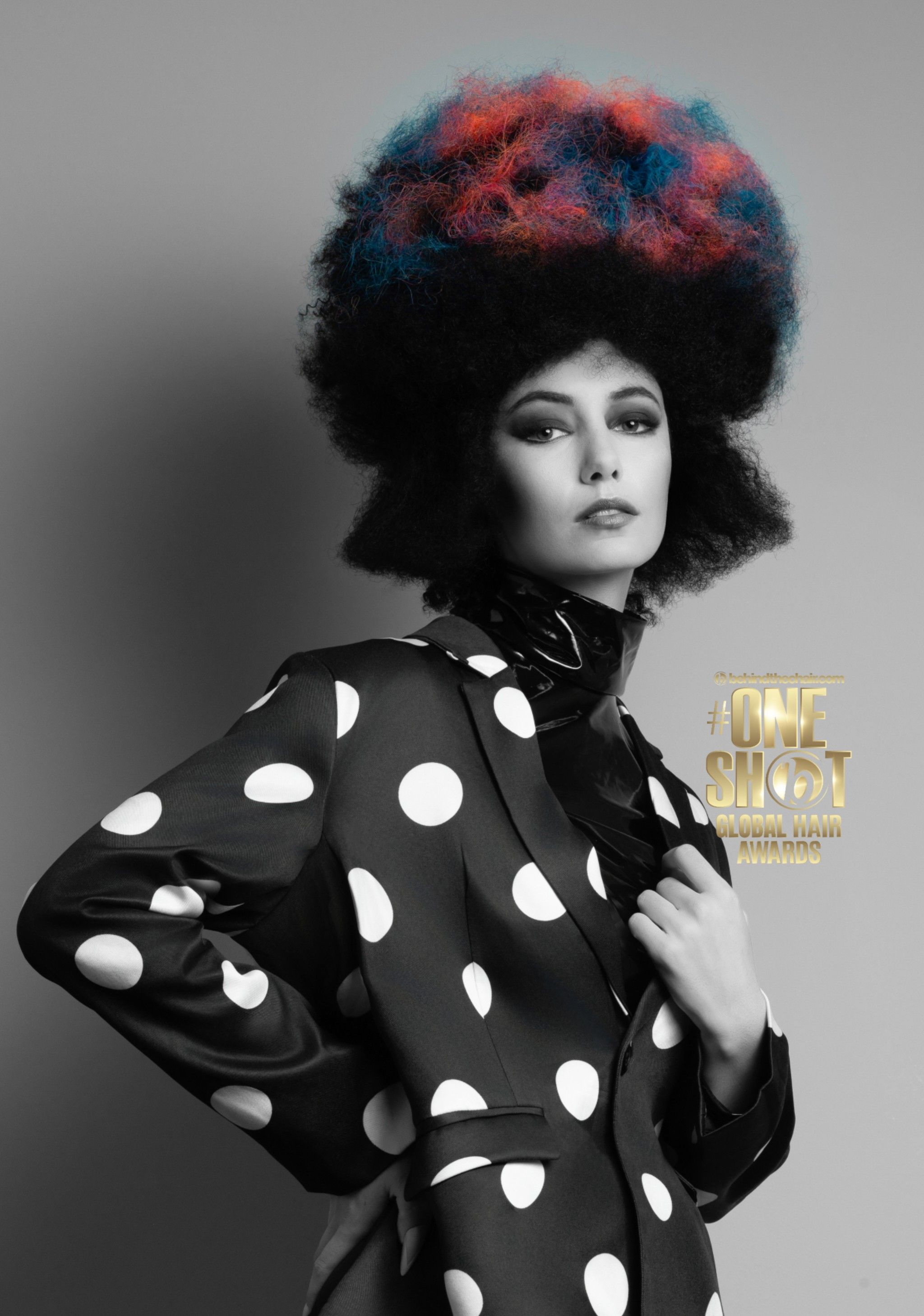 Shannon Dowd — Hair Color Collection ONESHOT Hair Awards entry