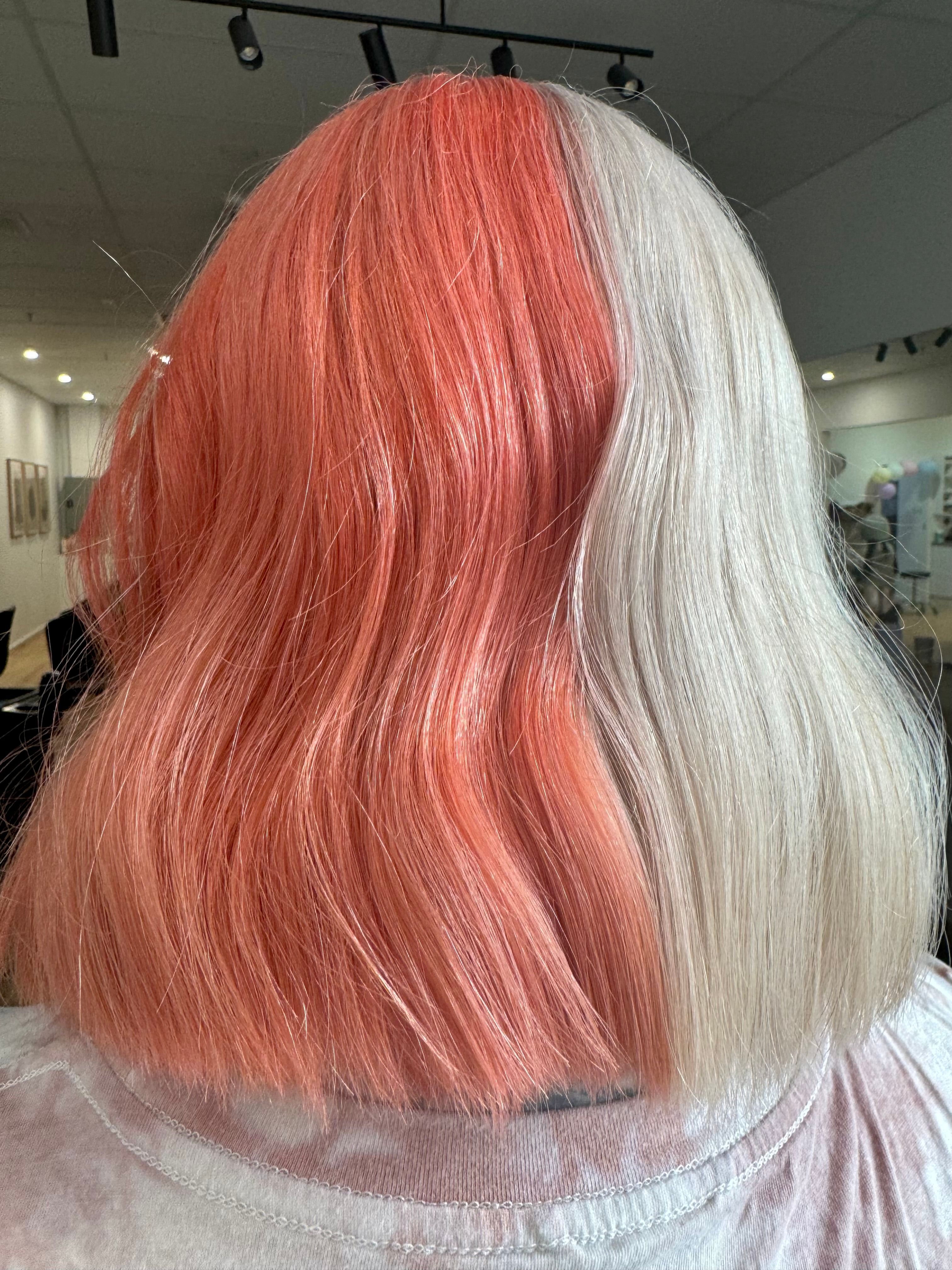 Emma Strauss — Creative Color ONESHOT Hair Awards entry