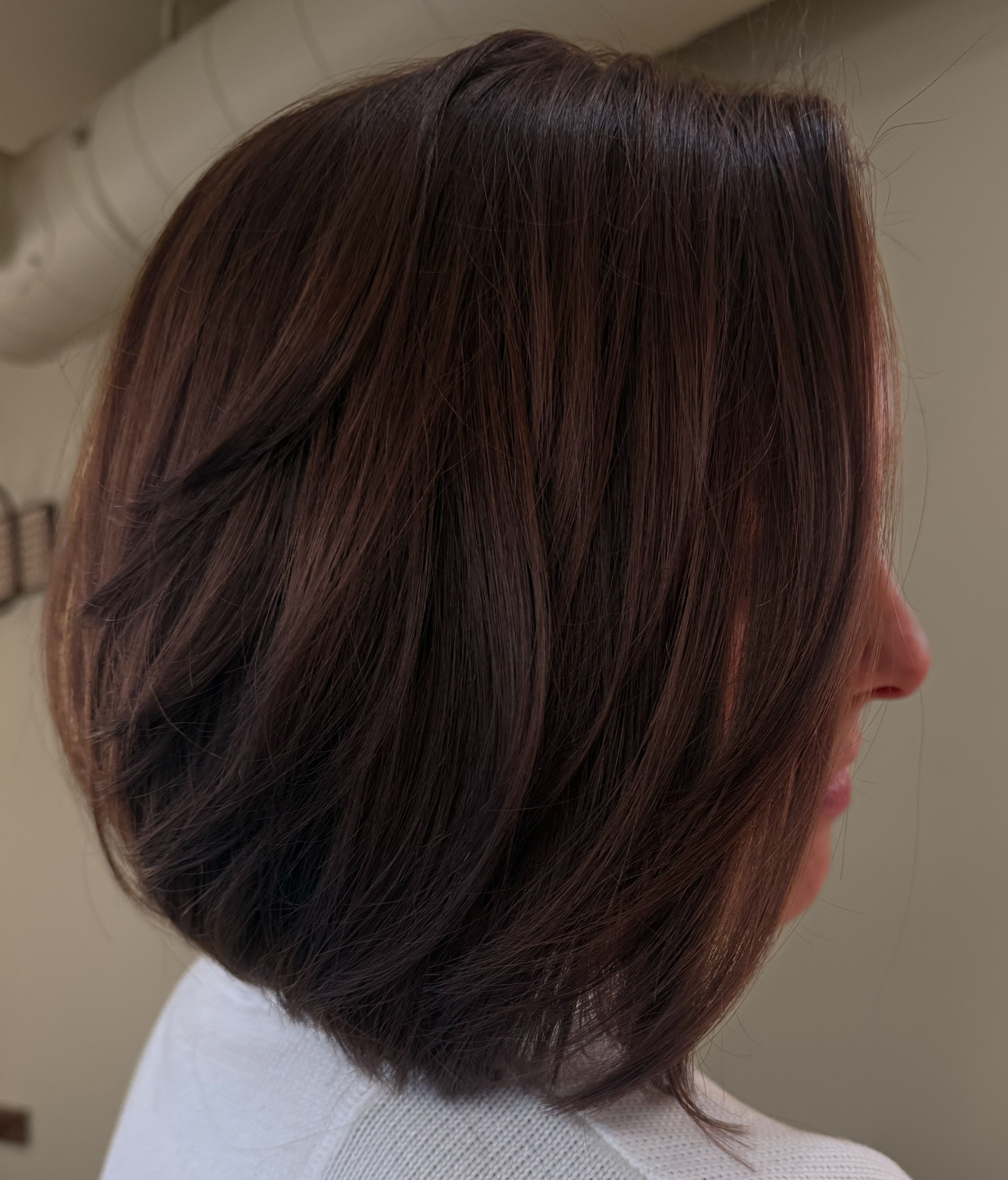 Maren Moholt Svendsen — Brunettes ONESHOT Hair Awards entry