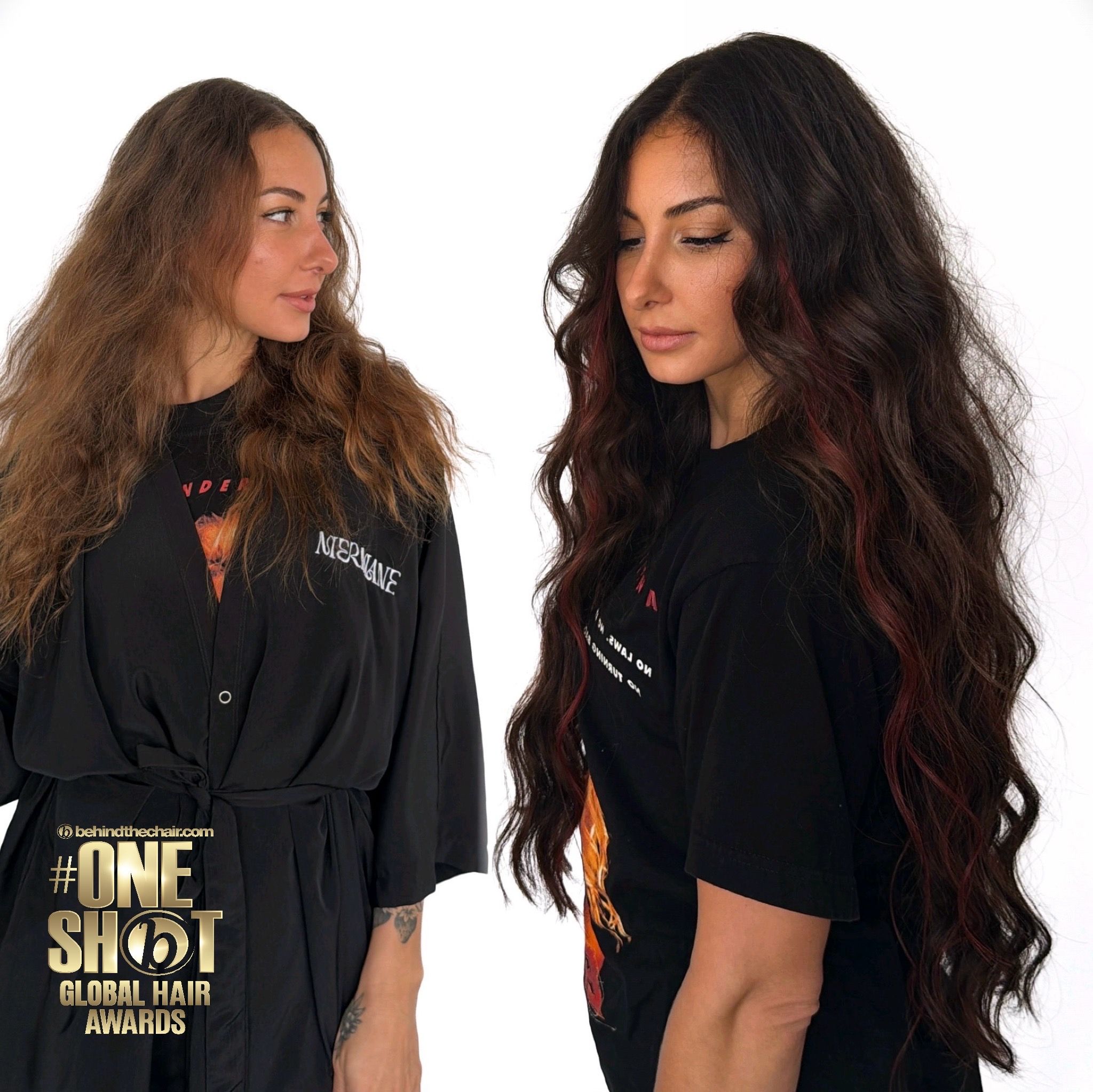 Ashley Mullins — Color Transformation ONESHOT Hair Awards entry