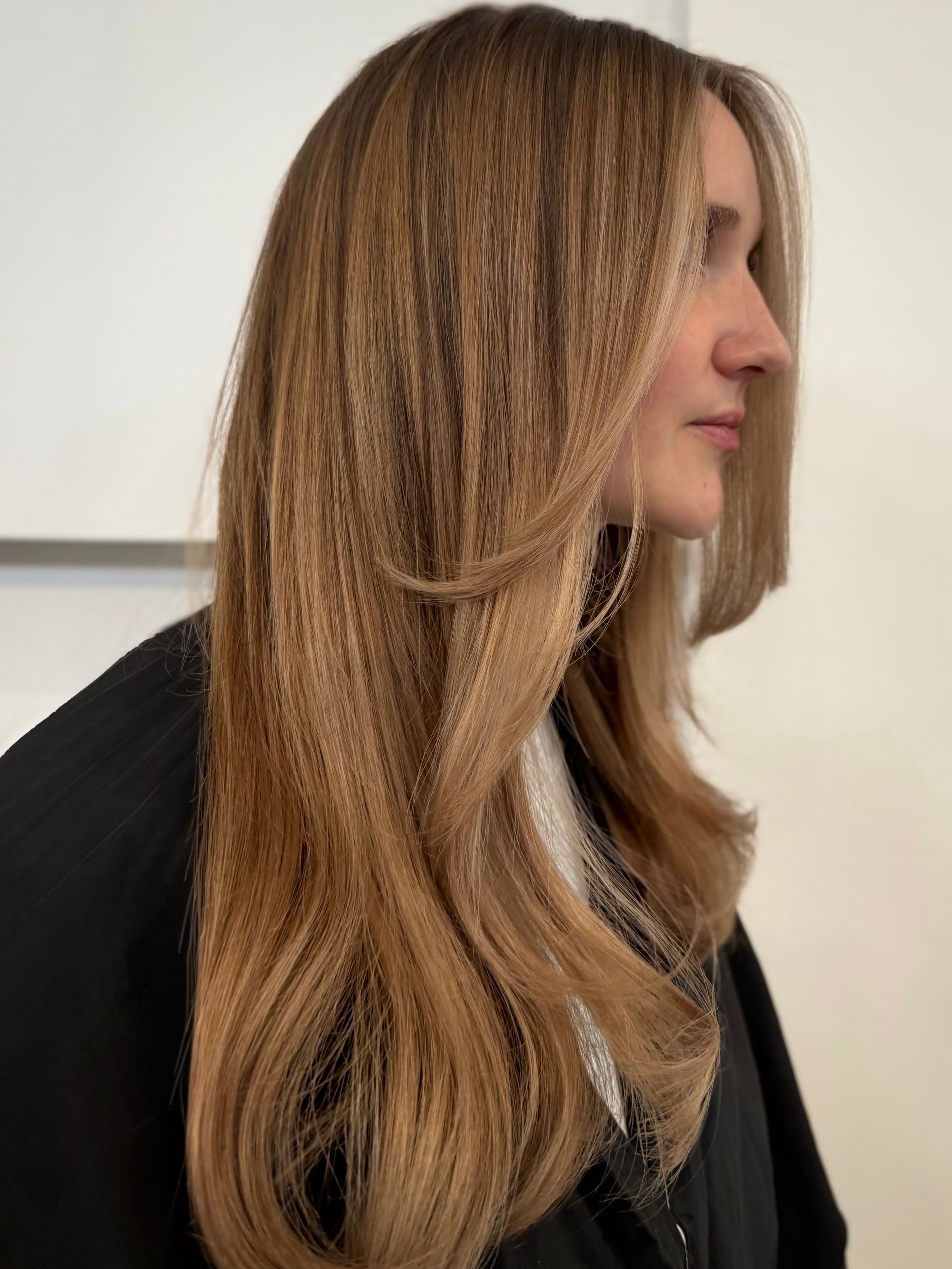 Erin Brooks — Warm Balayage ONESHOT Hair Awards entry