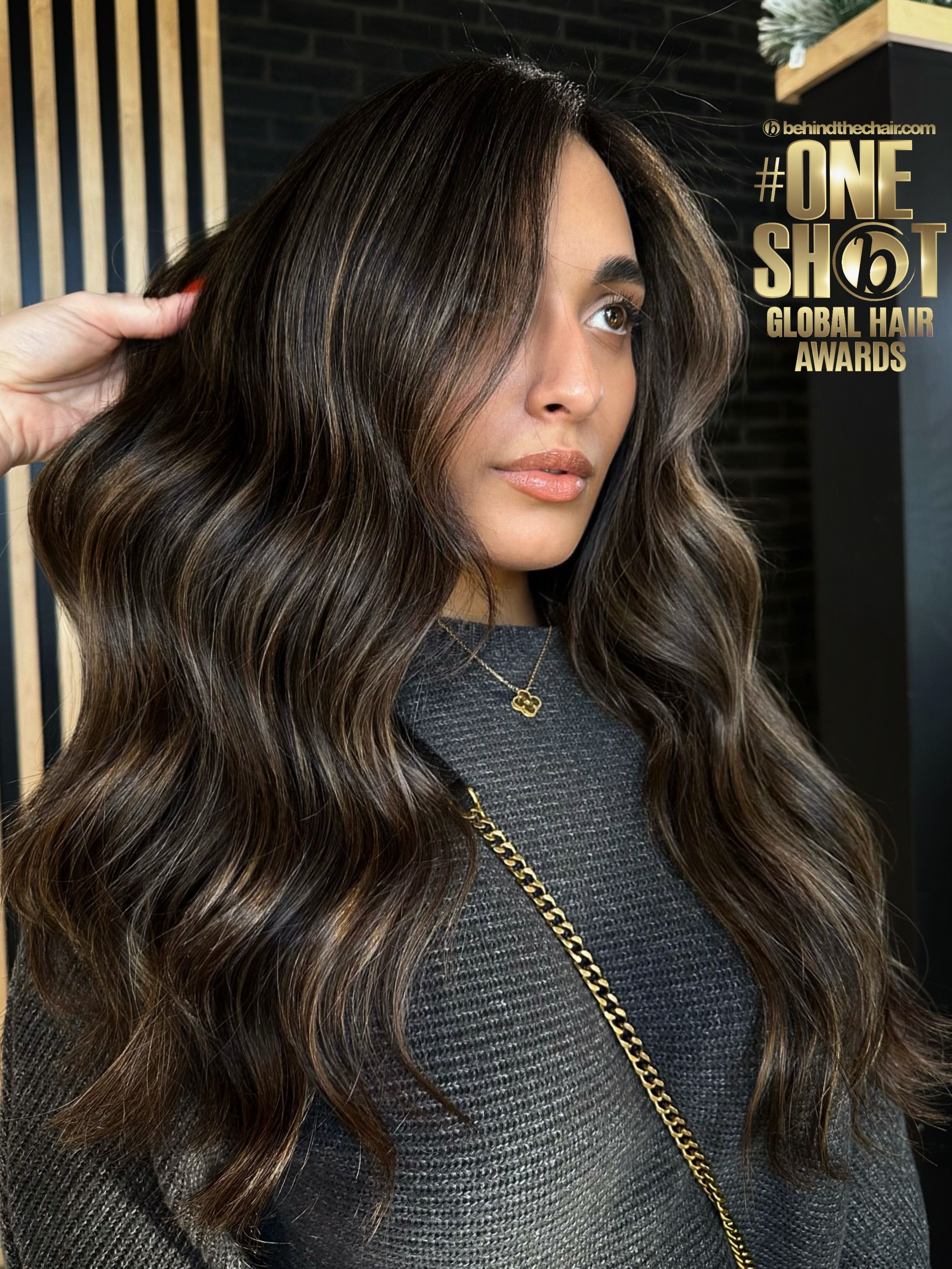 CarolAnn Armine — Brunettes ONESHOT Hair Awards entry