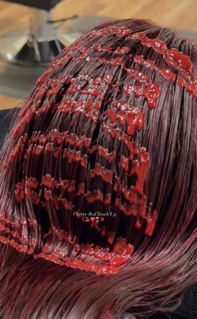 Kassandra Lerma — Color Education Video ONESHOT Hair Awards entry