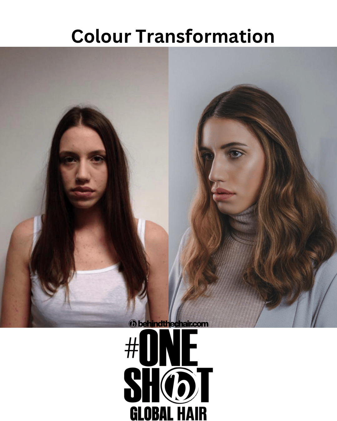 Evangeline Barrett — Color Transformation ONESHOT Hair Awards entry