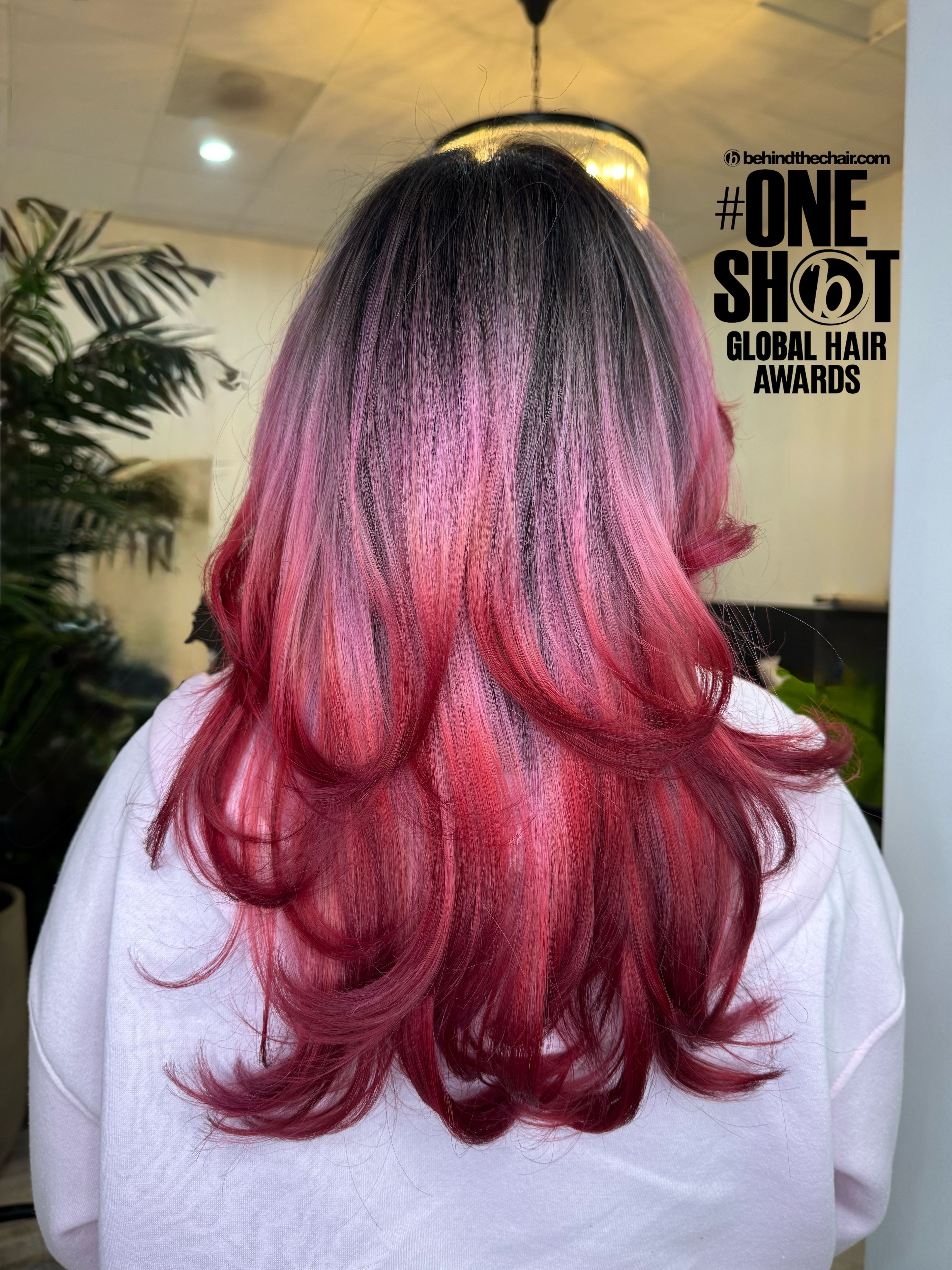 Hannah Derosier — Creative Color ONESHOT Hair Awards entry