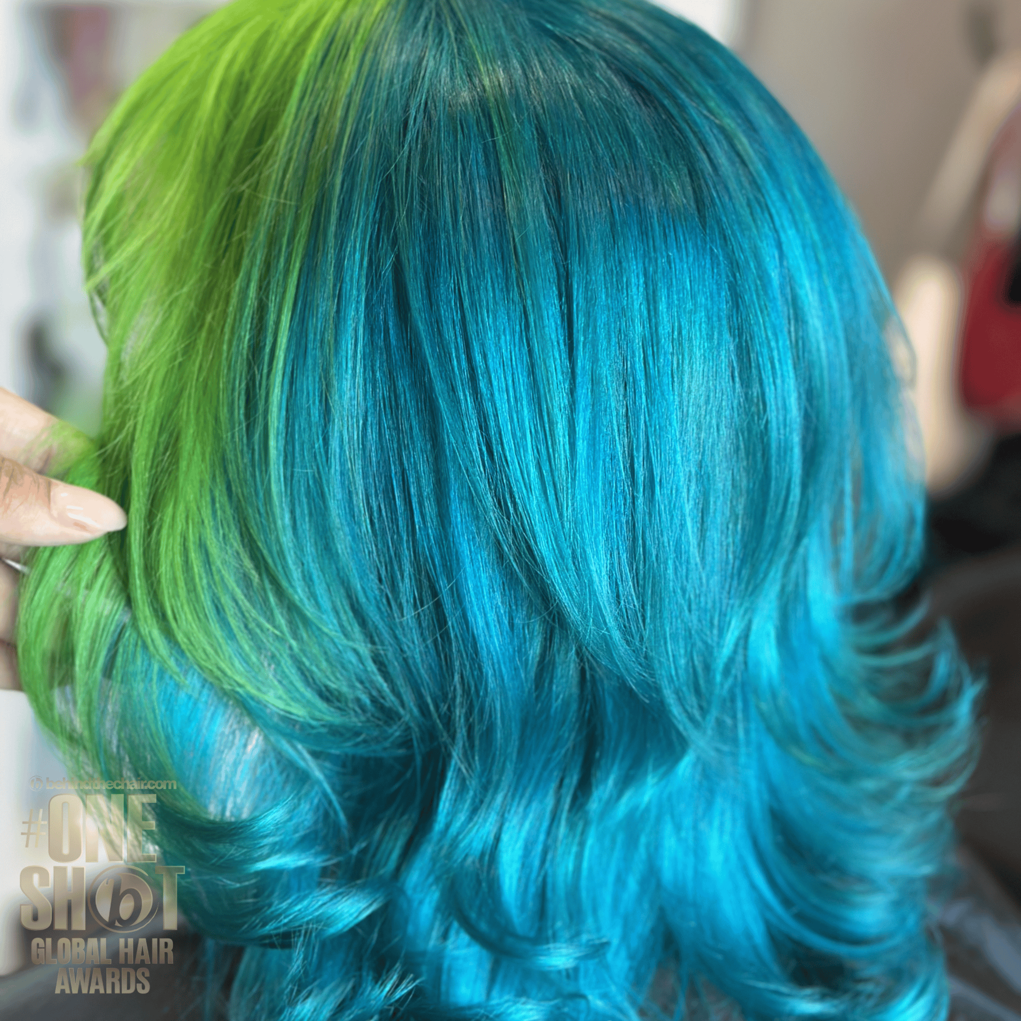 Izamar Pimentel — Color Blocking ONESHOT Hair Awards entry
