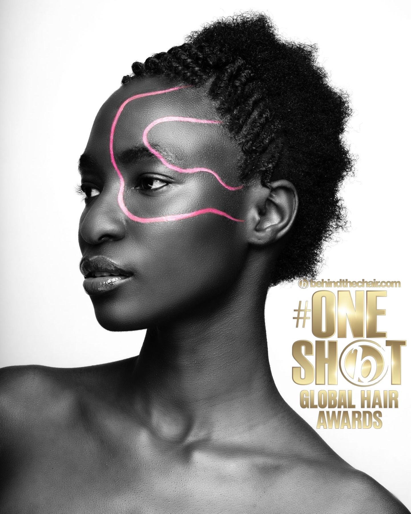 Chris Grimley — Texture Collection ONESHOT Hair Awards entry