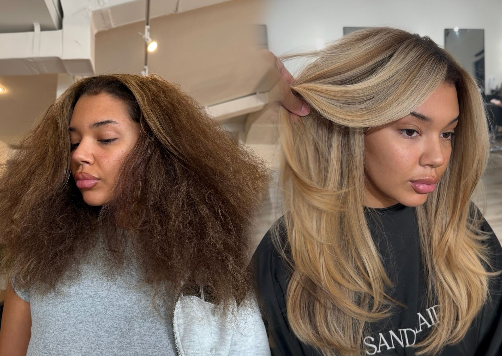 Leeziyah Palin — Color Transformation ONESHOT Hair Awards entry