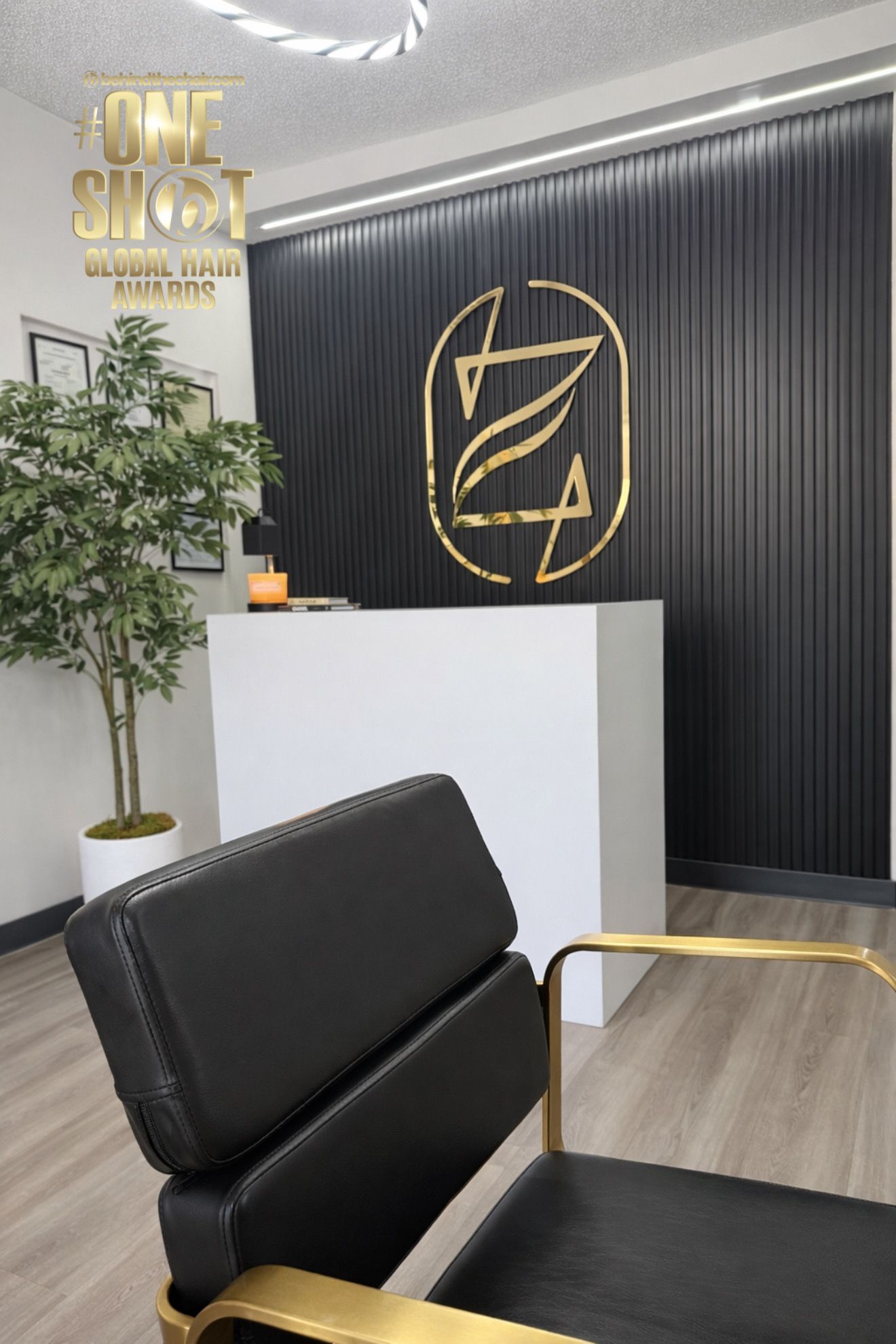 Joel Ortiz Rosado — Suite Decor ONESHOT Hair Awards entry