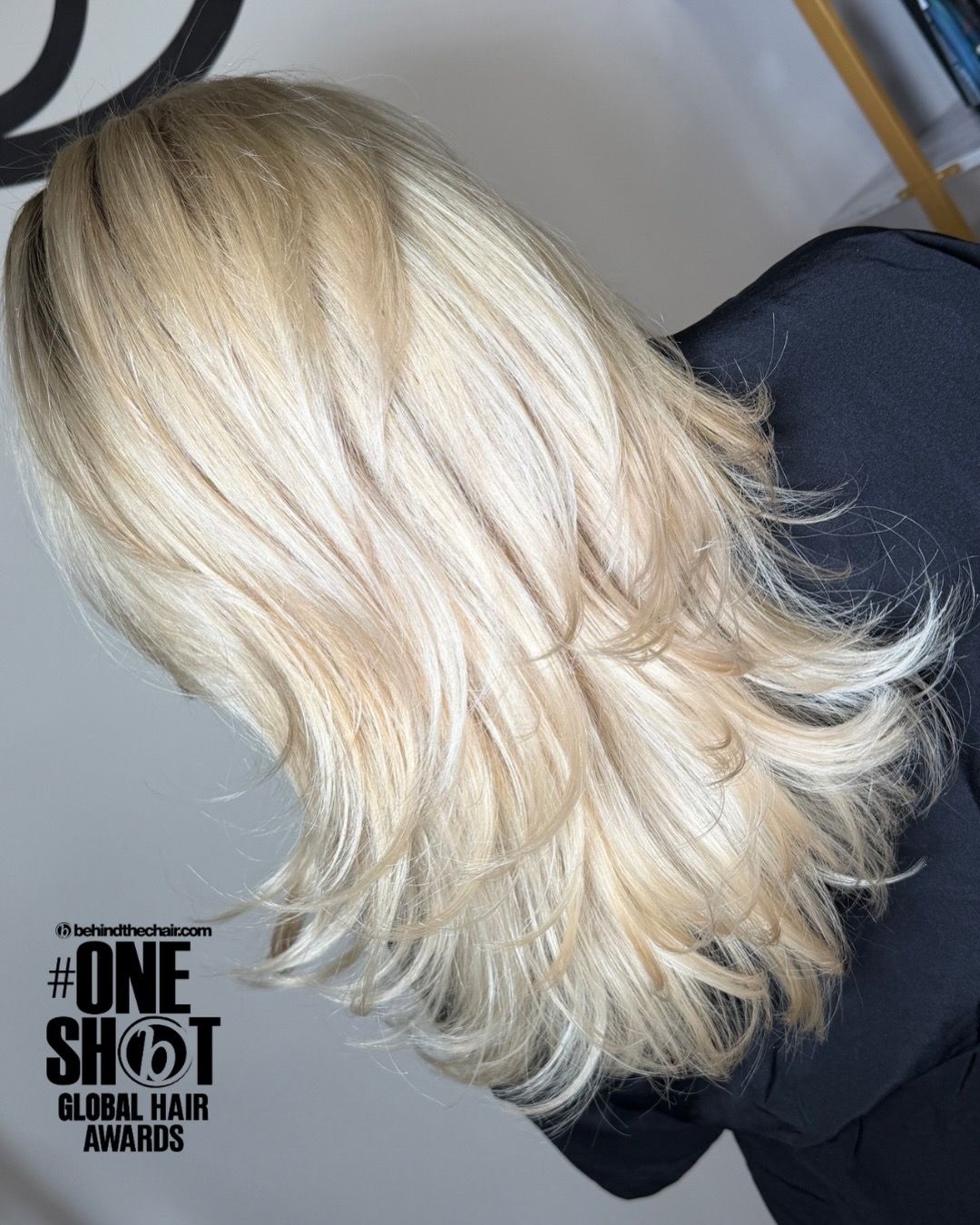 Ellington Montenegro Padilla — Platinum ONESHOT Hair Awards entry