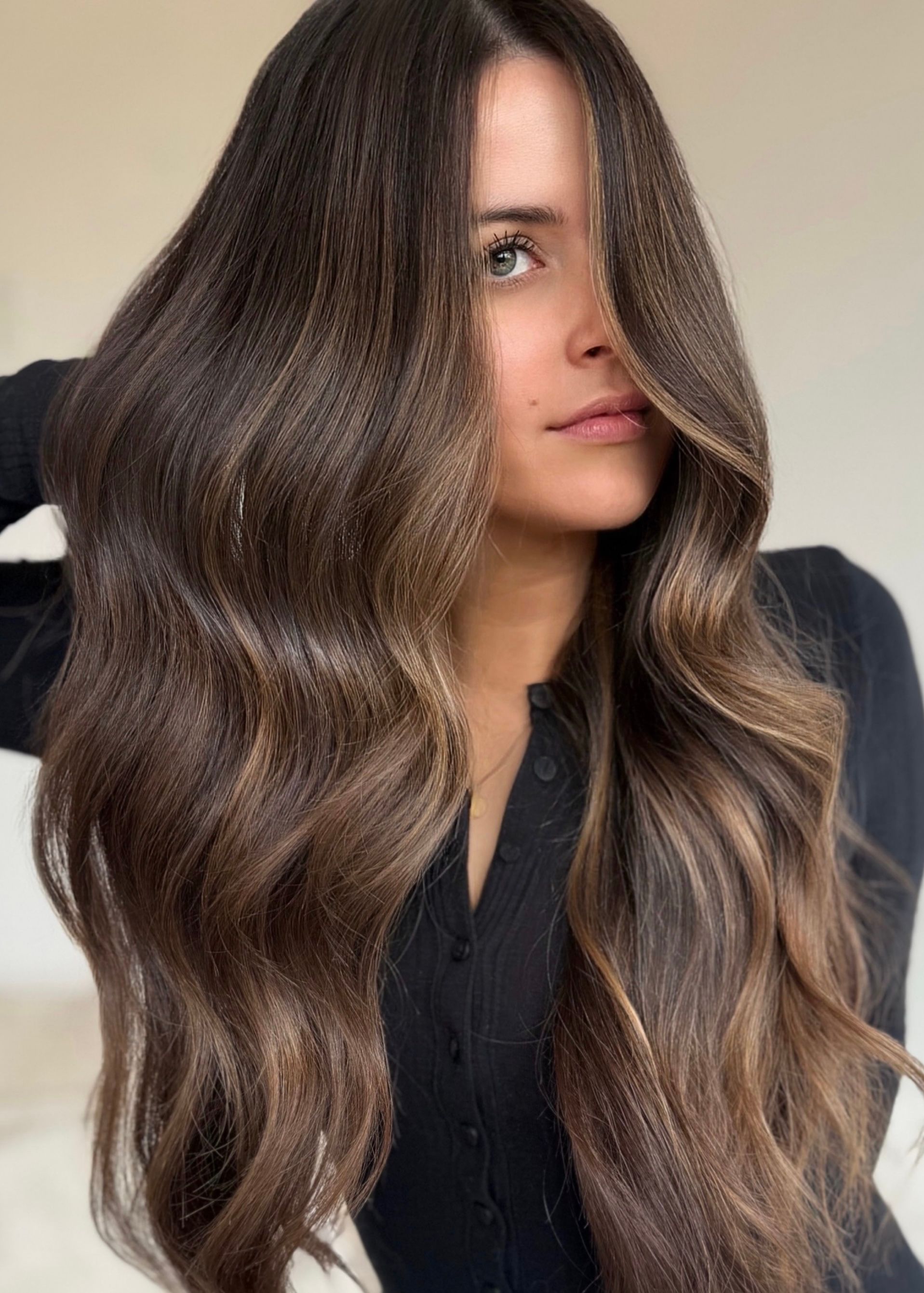 Ashley Travalini — Brunettes ONESHOT Hair Awards entry